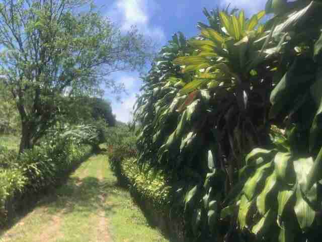 0 bed Land For Sale in Nuevo Arenal, Guanacaste - thumb 9