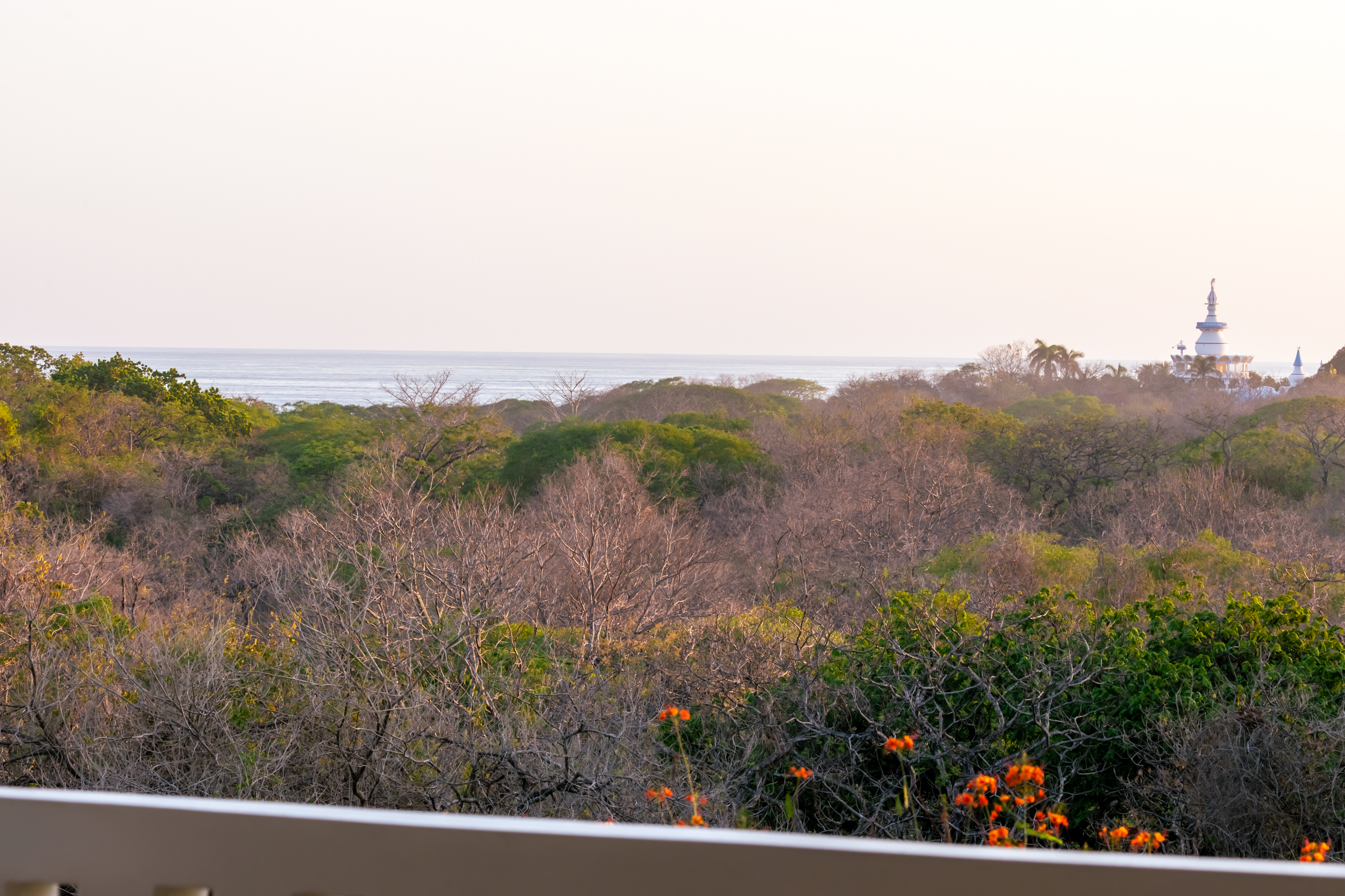 2 bed Apartment For Rent in Nosara, Guanacaste - thumb 12