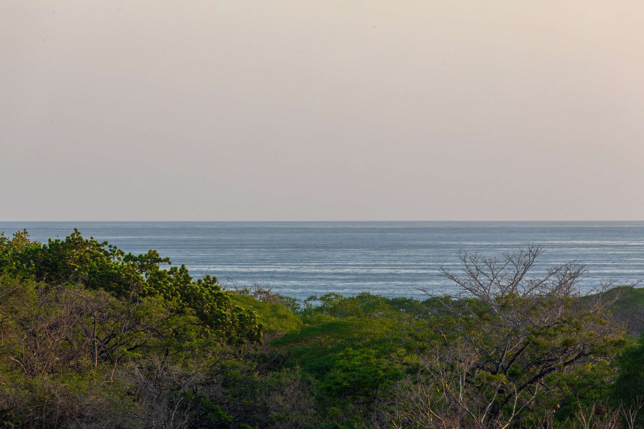 2 bed Apartment For Rent in Nosara, Guanacaste - thumb 14