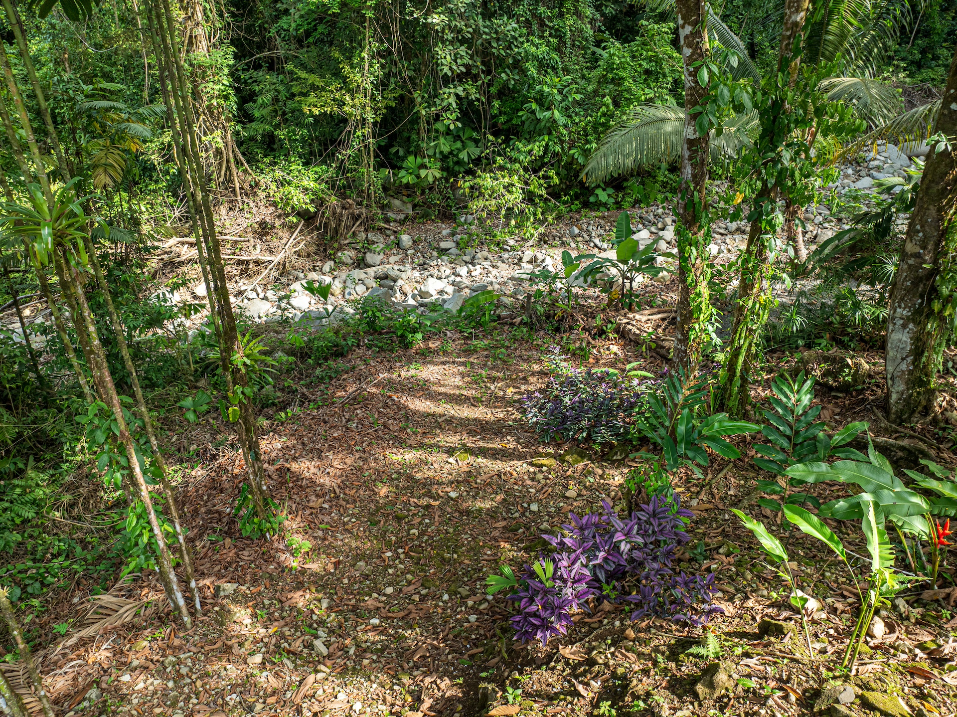 3 bed Single Family Homes For Sale in Ojochal, Puntarenas - thumb 26