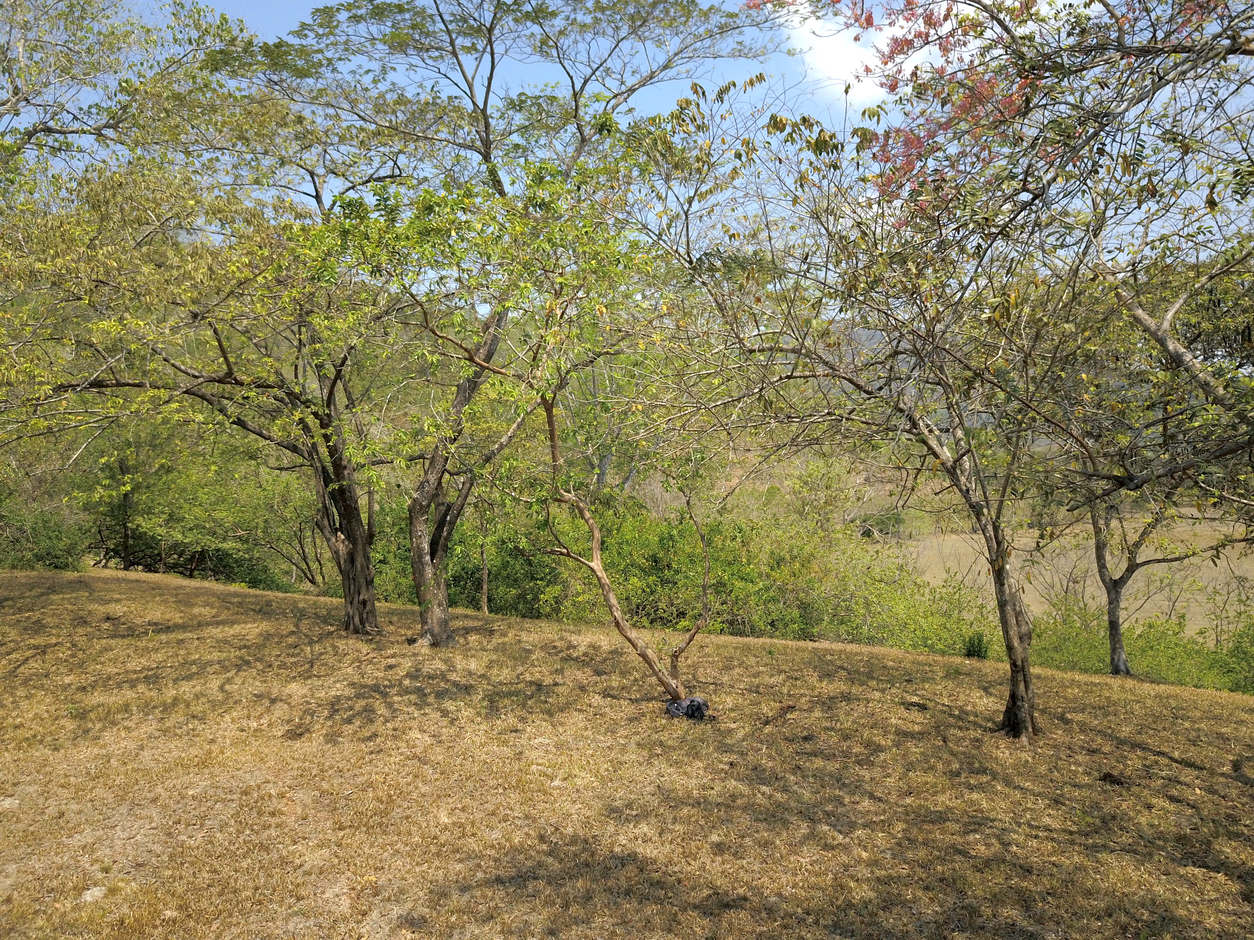 0 bed Land For Sale in Samara, Guanacaste - thumb 5