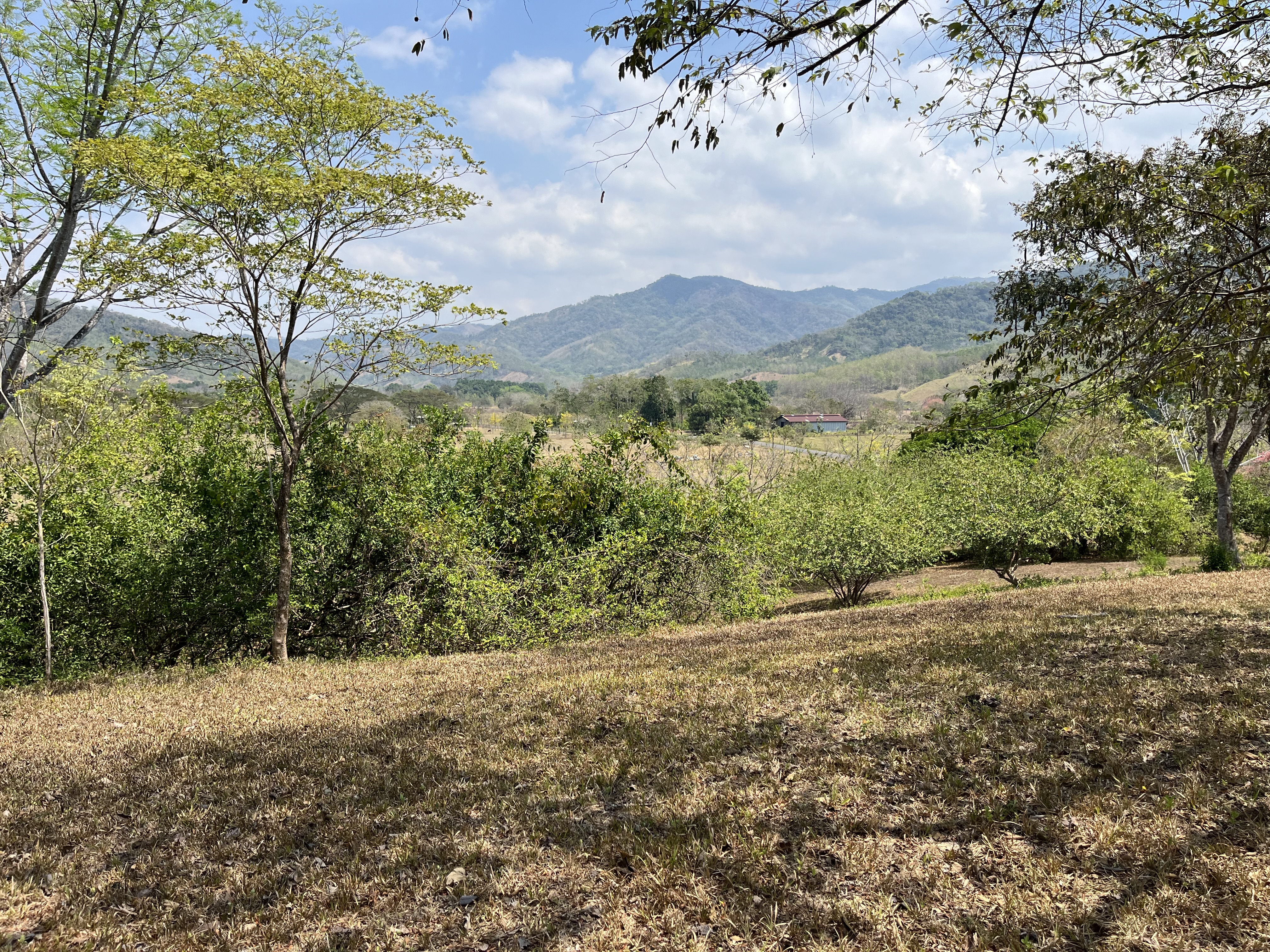 0 bed Land For Sale in Samara, Guanacaste - thumb 16