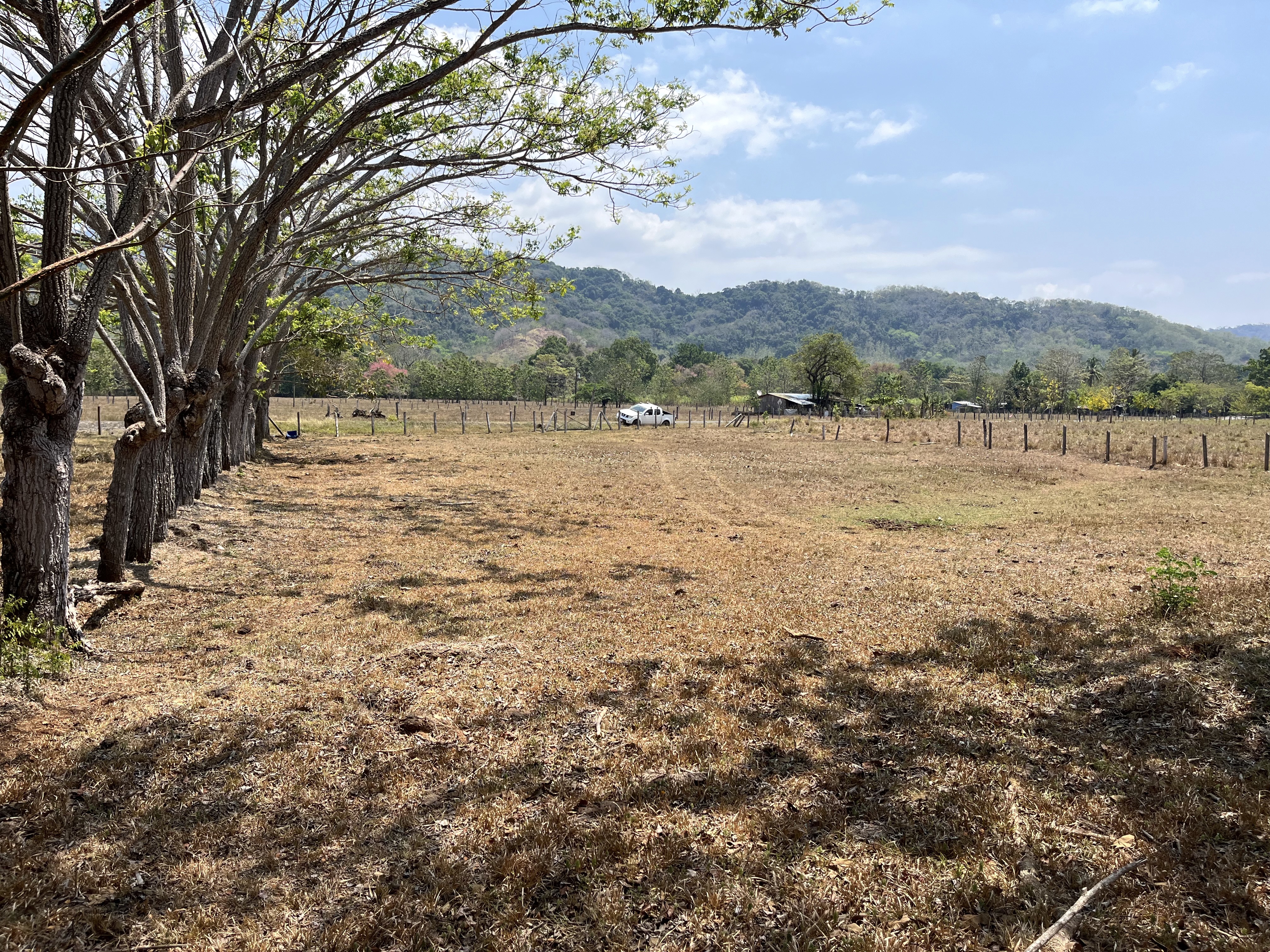0 bed Land For Sale in Samara, Guanacaste - thumb 22
