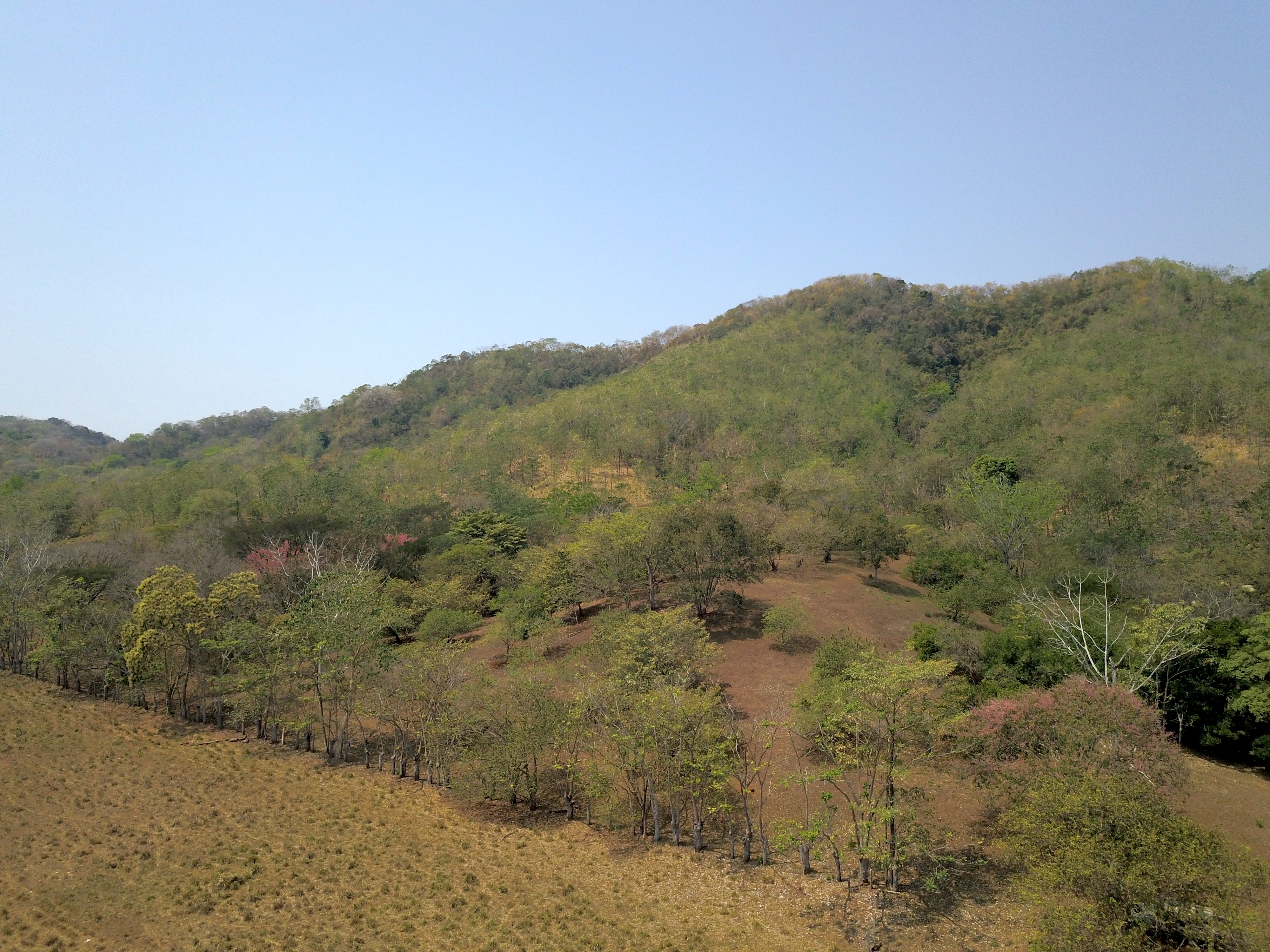 0 bed Land For Sale in Samara, Guanacaste - thumb 13