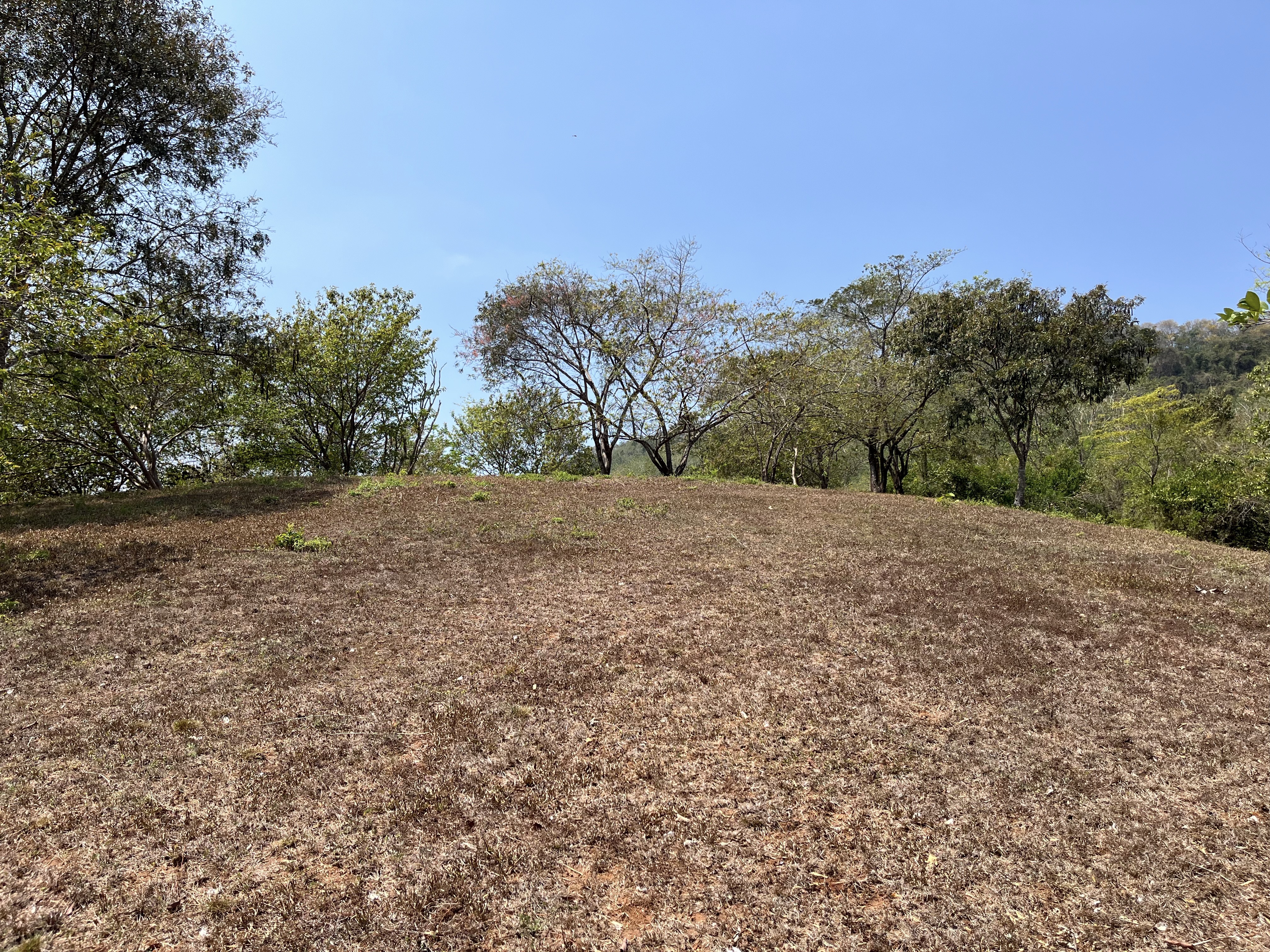 0 bed Land For Sale in Samara, Guanacaste - thumb 20