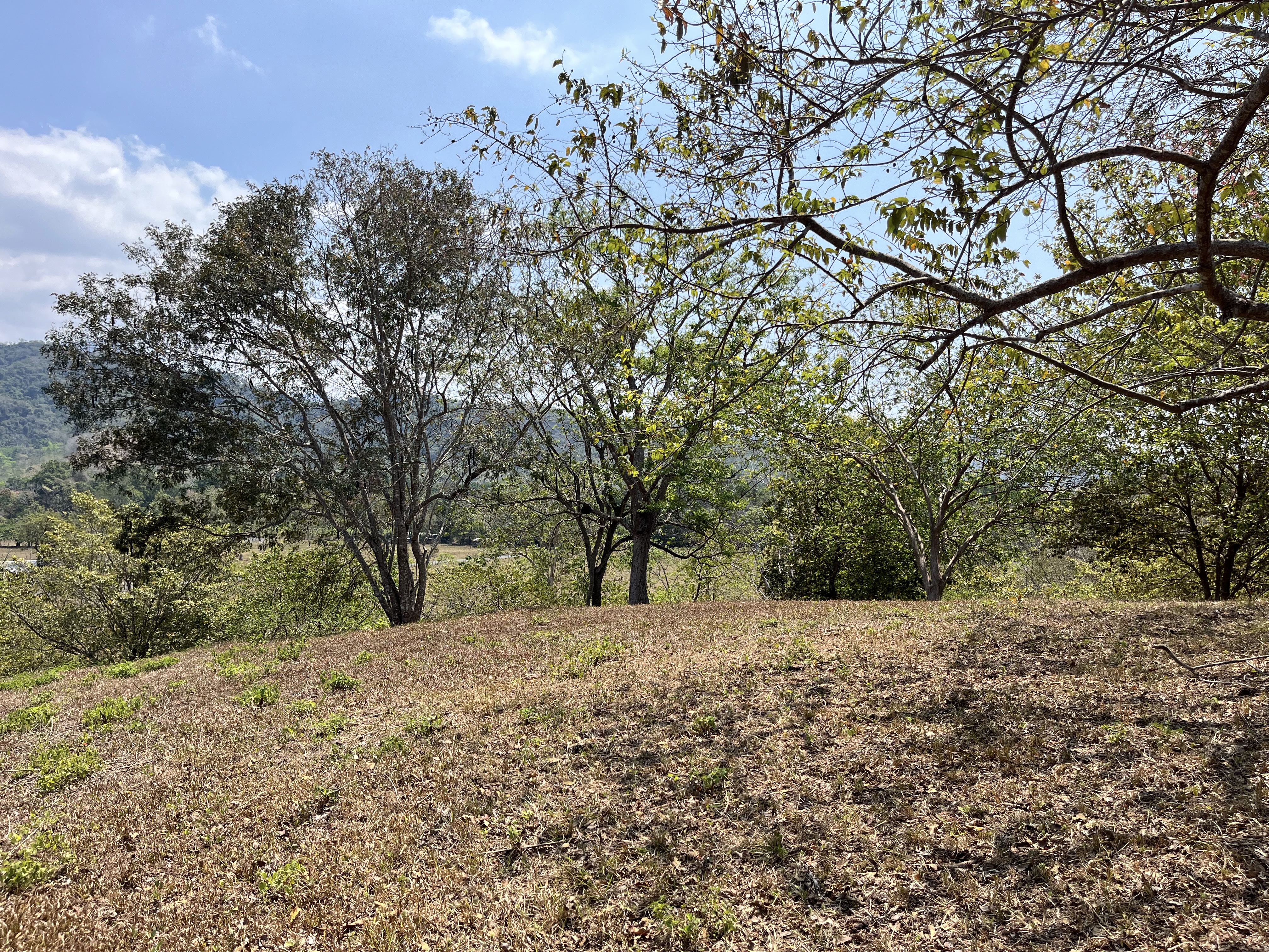 0 bed Land For Sale in Samara, Guanacaste - thumb 19