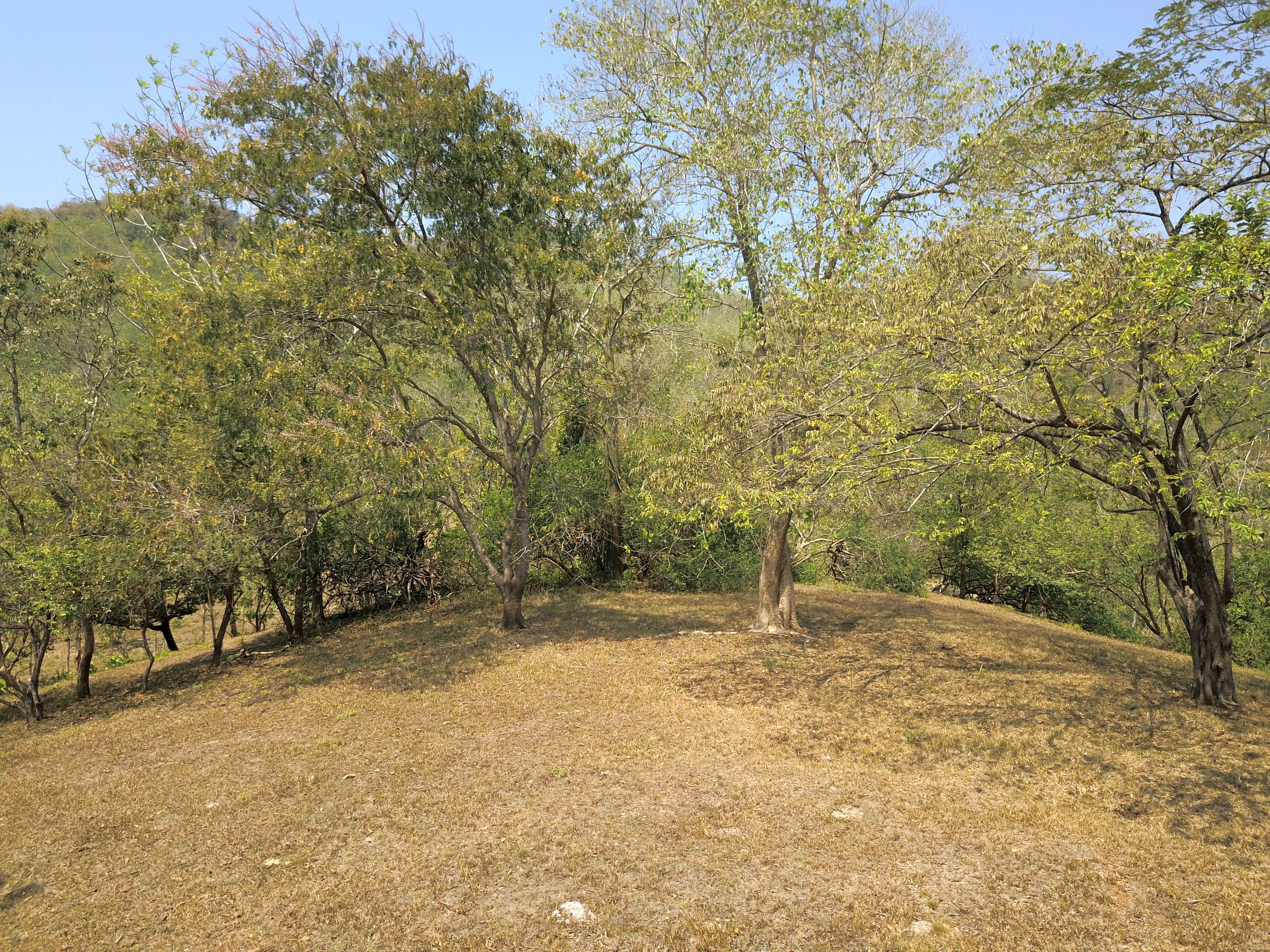 0 bed Land For Sale in Samara, Guanacaste - thumb 3