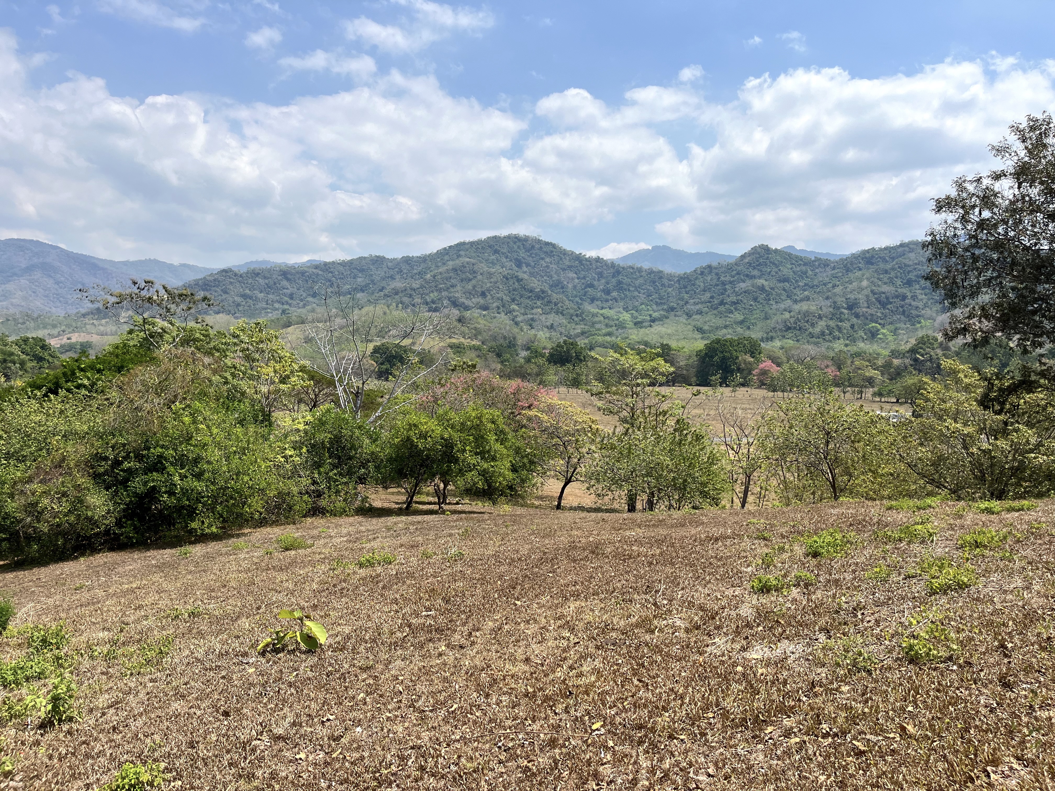 0 bed Land For Sale in Samara, Guanacaste - thumb 18