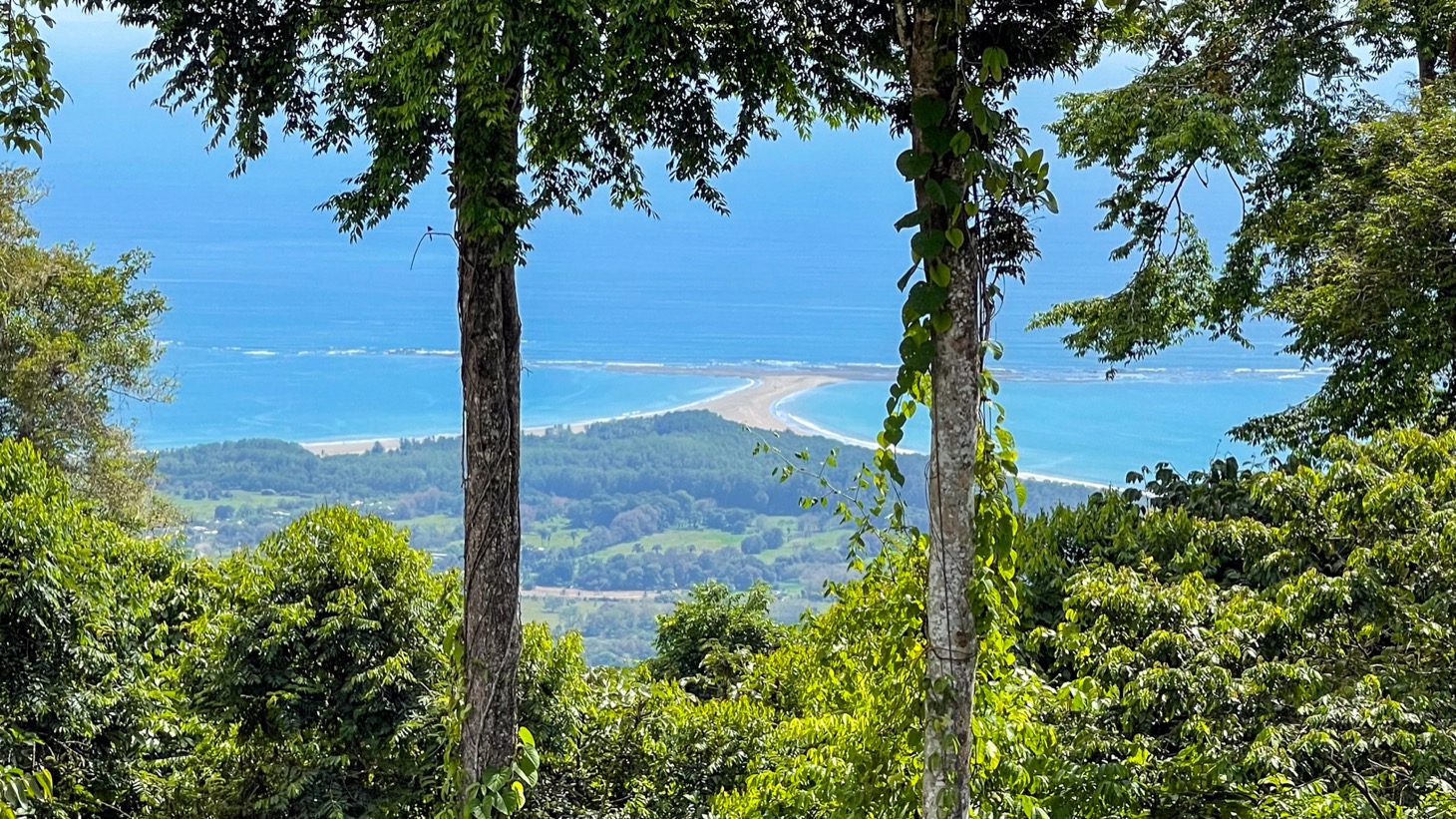 3 bed Single Family Homes For Sale in Uvita, Puntarenas - thumb 3