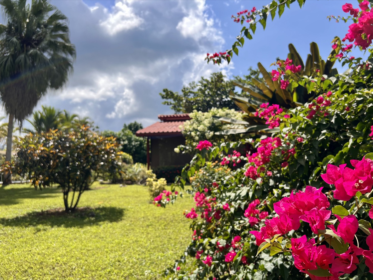 2 bed Single Family Homes For Sale in Ojochal, Puntarenas - thumb 3