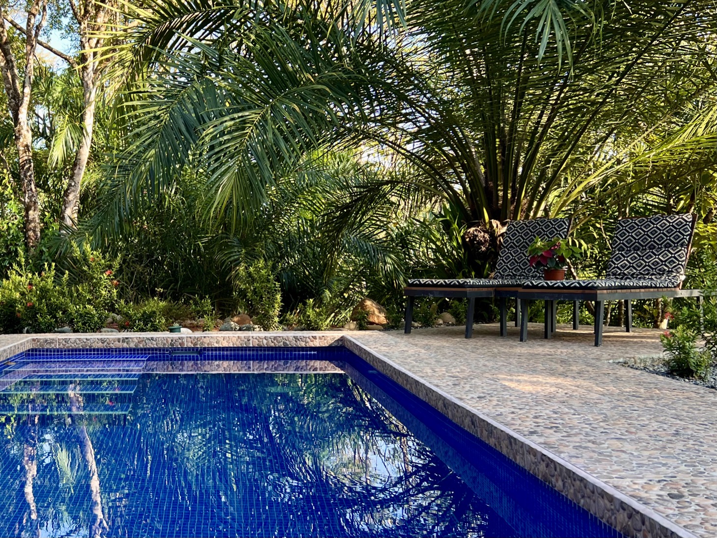 3 bed Single Family Homes For Sale in Ojochal, Puntarenas - thumb 3