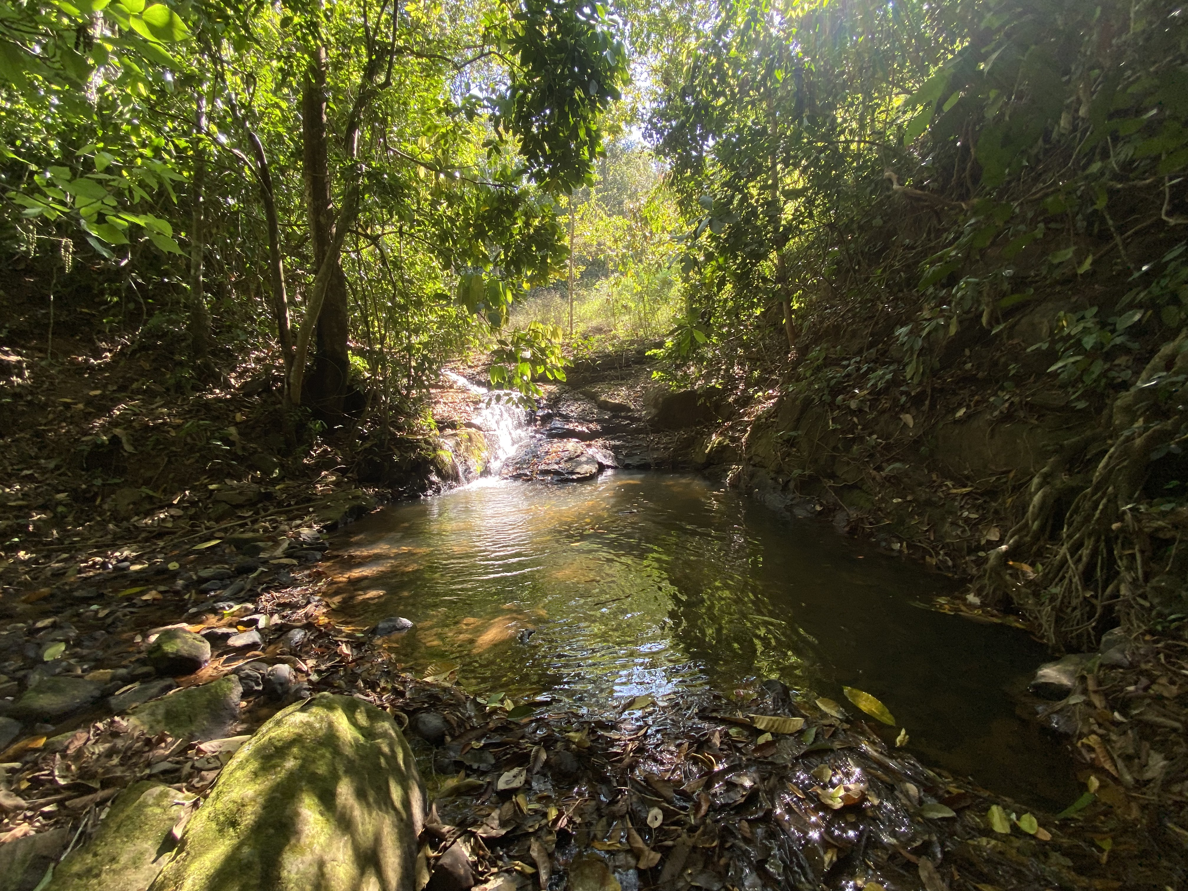 0 bed Land For Sale in Perez Zeledon, San Jose - thumb 22