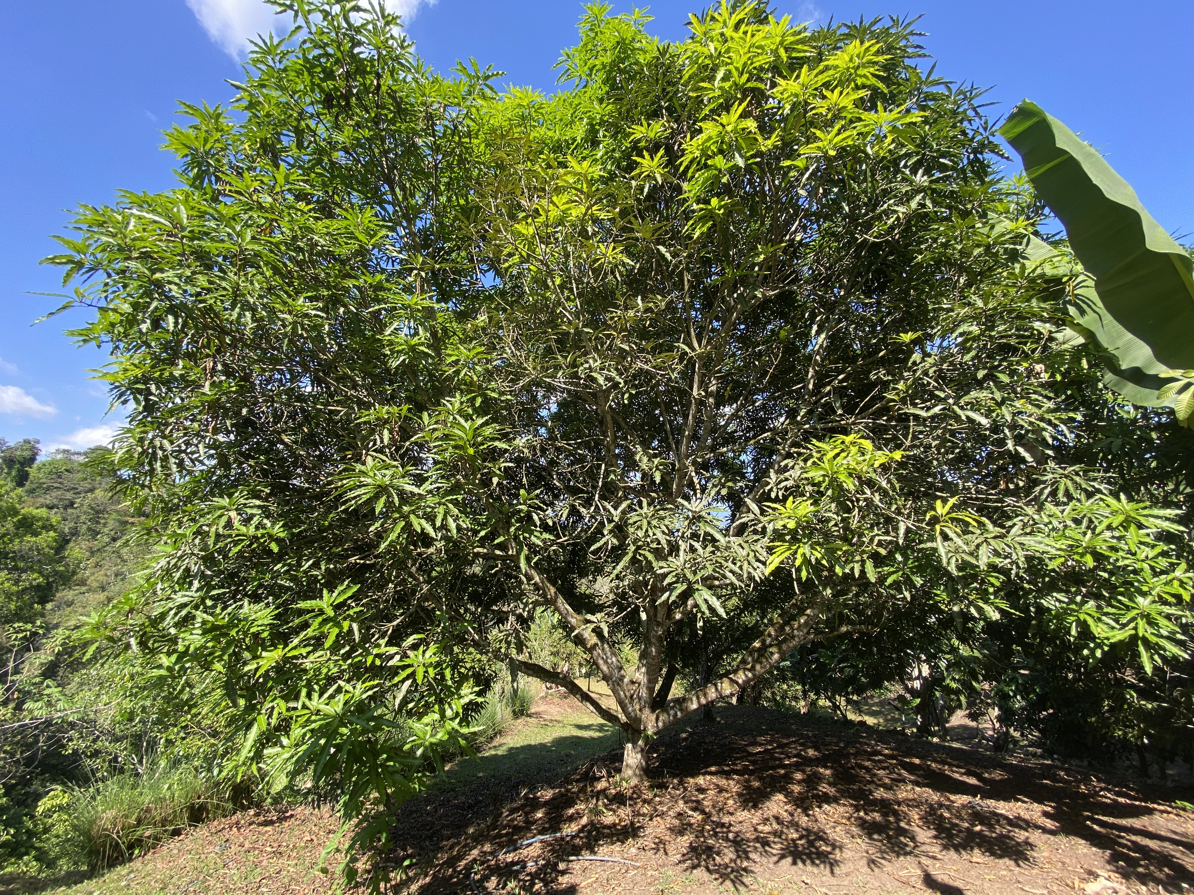 0 bed Land For Sale in Perez Zeledon, San Jose - thumb 15