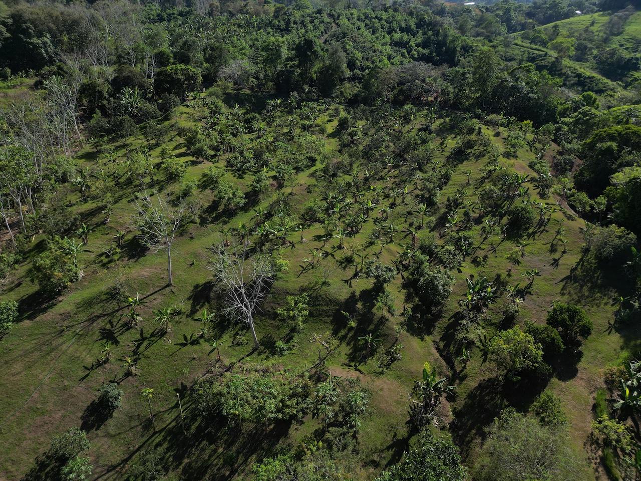 0 bed Land For Sale in Perez Zeledon, San Jose - thumb 2