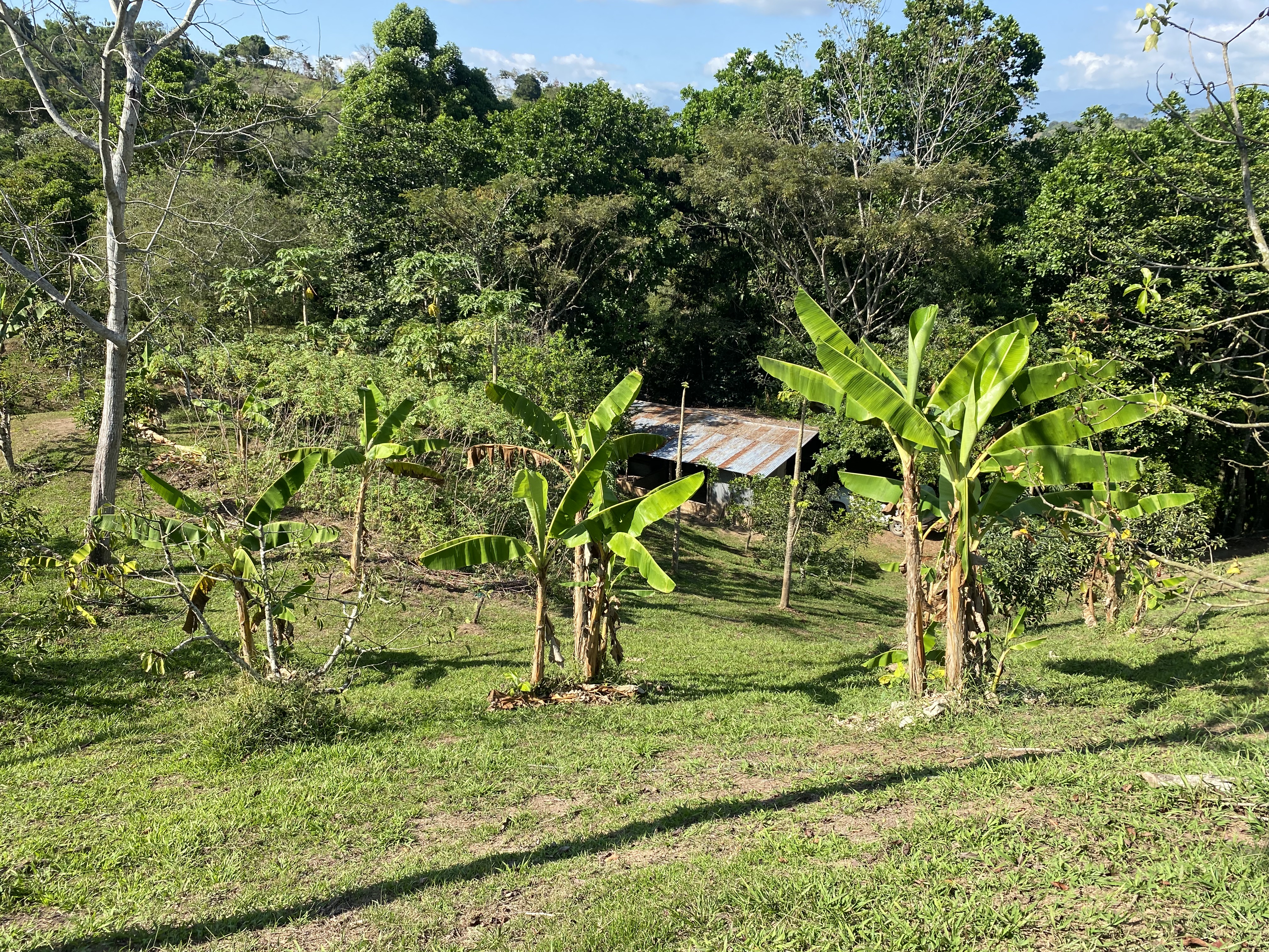 0 bed Land For Sale in Perez Zeledon, San Jose - thumb 11