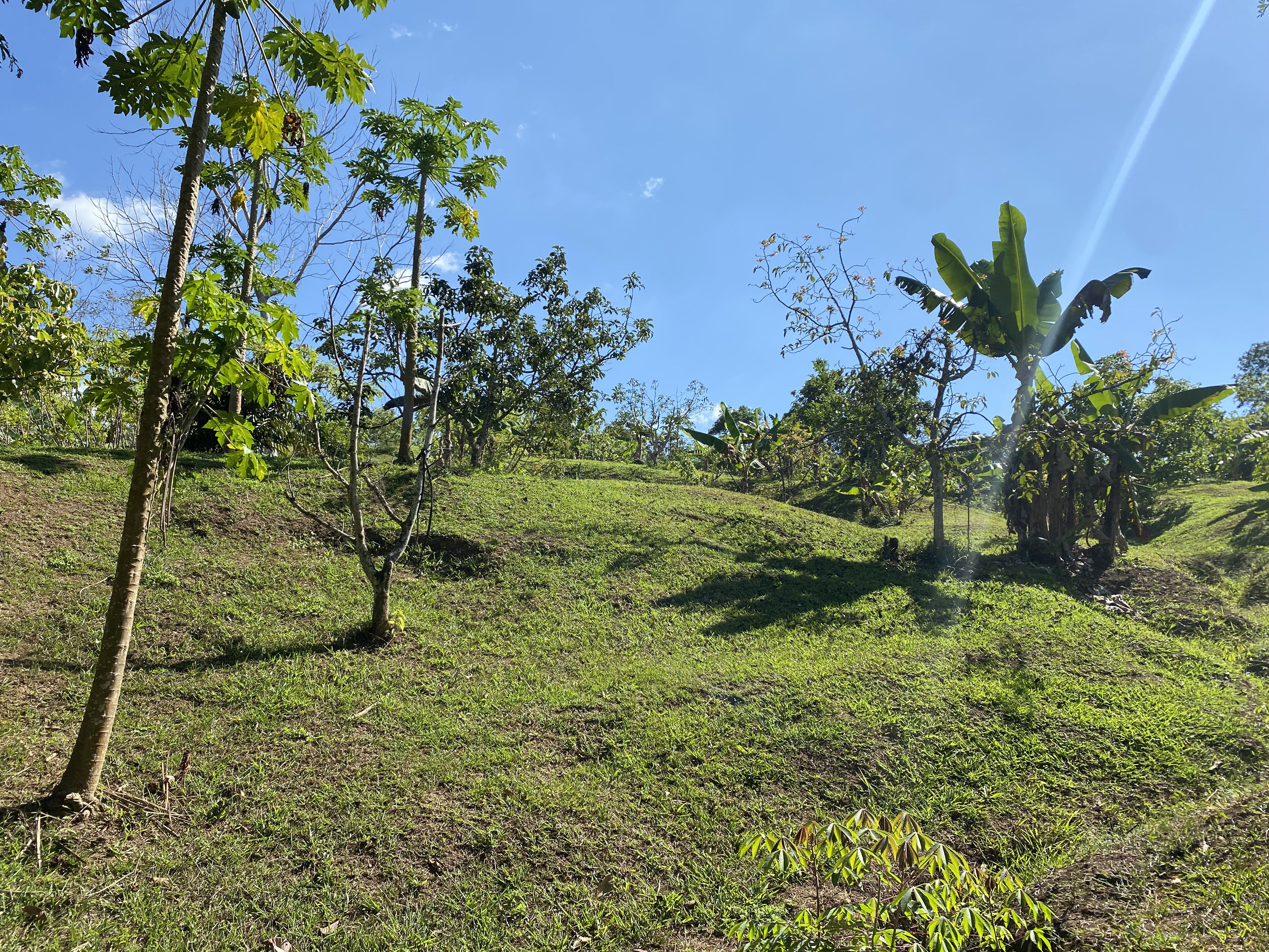 0 bed Land For Sale in Perez Zeledon, San Jose - thumb 10