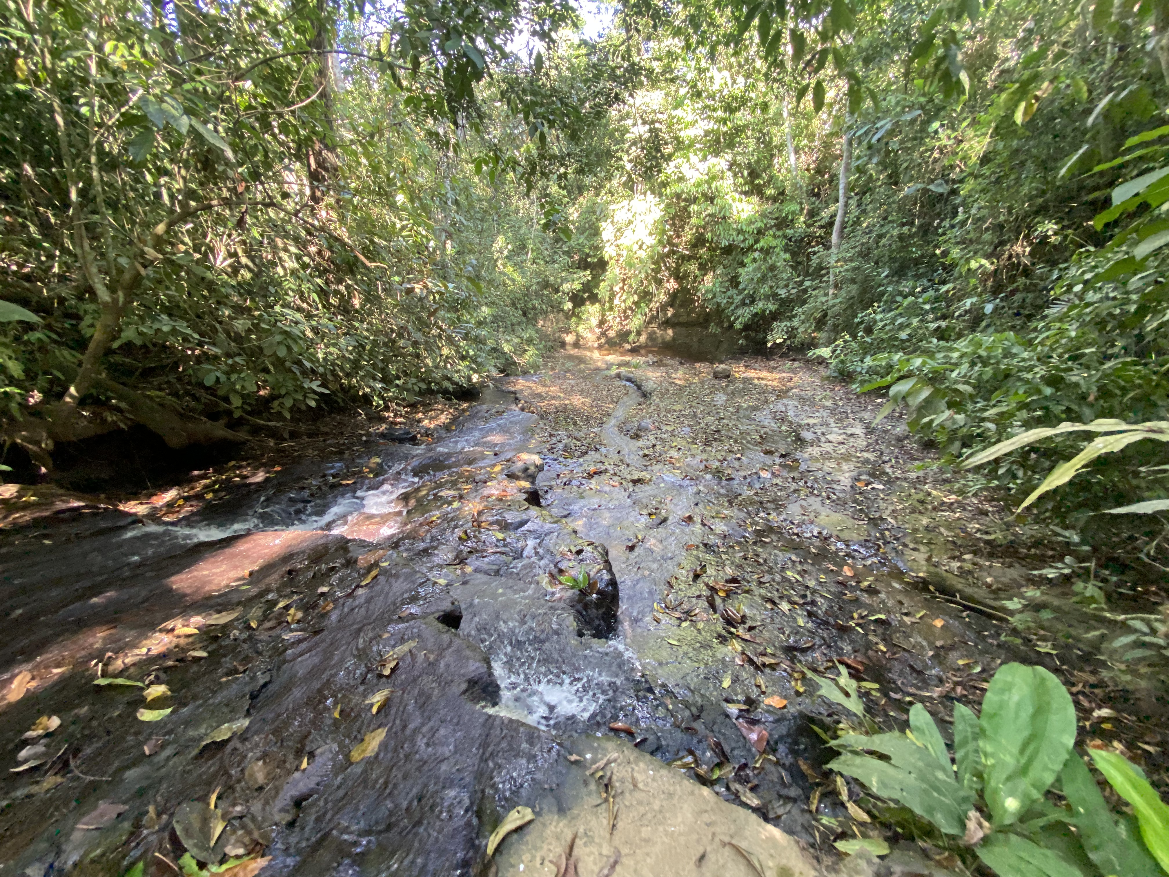 0 bed Land For Sale in Perez Zeledon, San Jose - thumb 23