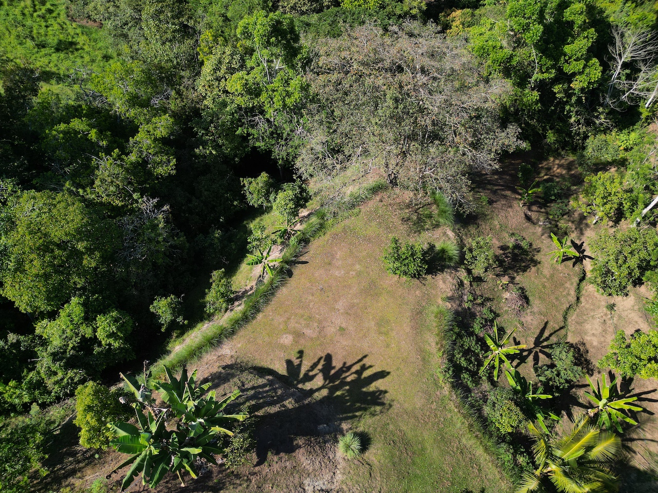 0 bed Land For Sale in Perez Zeledon, San Jose - thumb 5
