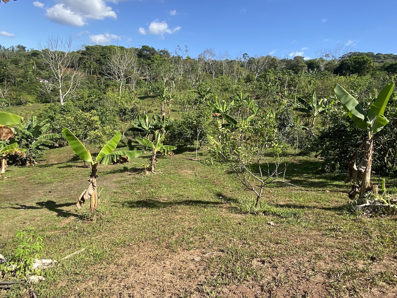 0 bed Land For Sale in Perez Zeledon, San Jose - thumb 16