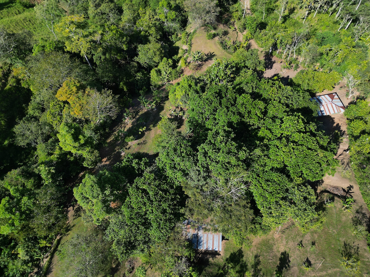 0 bed Land For Sale in Perez Zeledon, San Jose - thumb 3