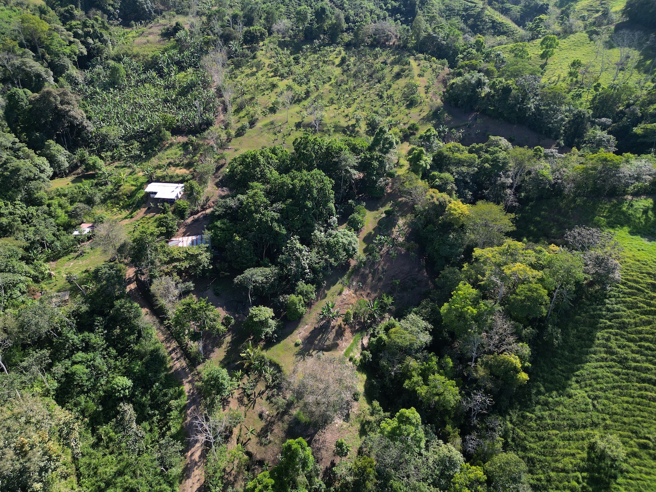 0 bed Land For Sale in Perez Zeledon, San Jose - thumb 4