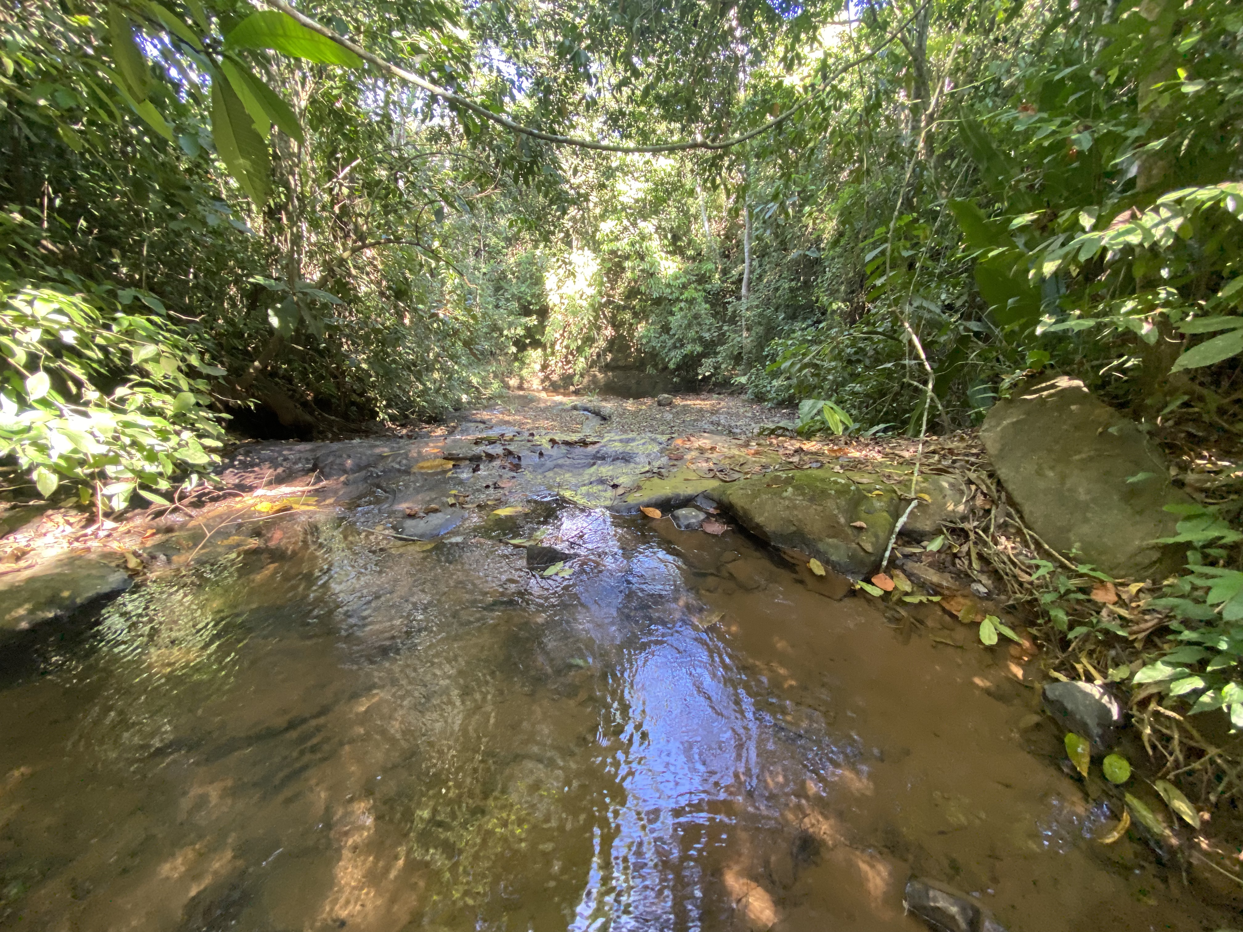 0 bed Land For Sale in Perez Zeledon, San Jose - thumb 21