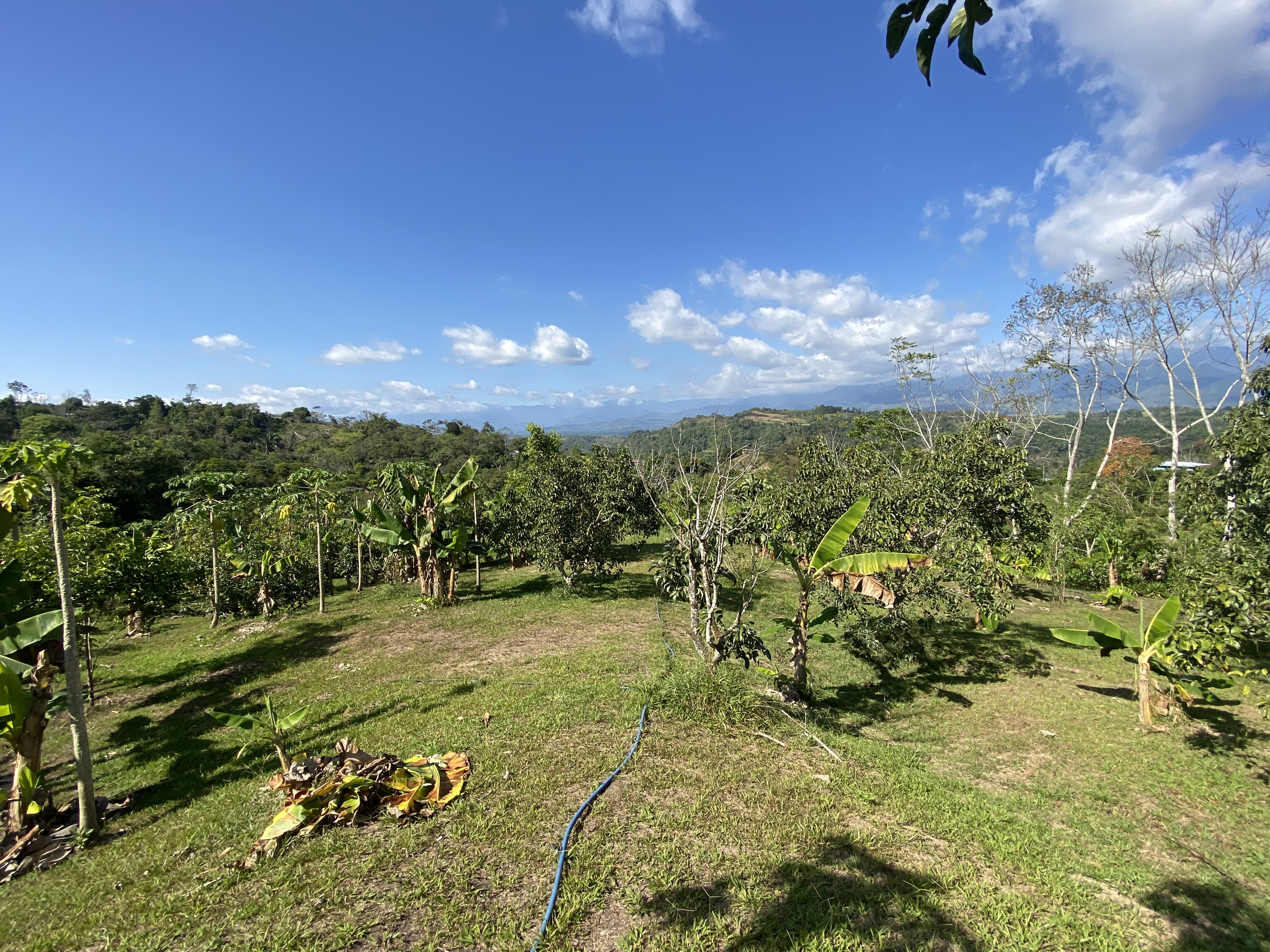 0 bed Land For Sale in Perez Zeledon, San Jose - thumb 7