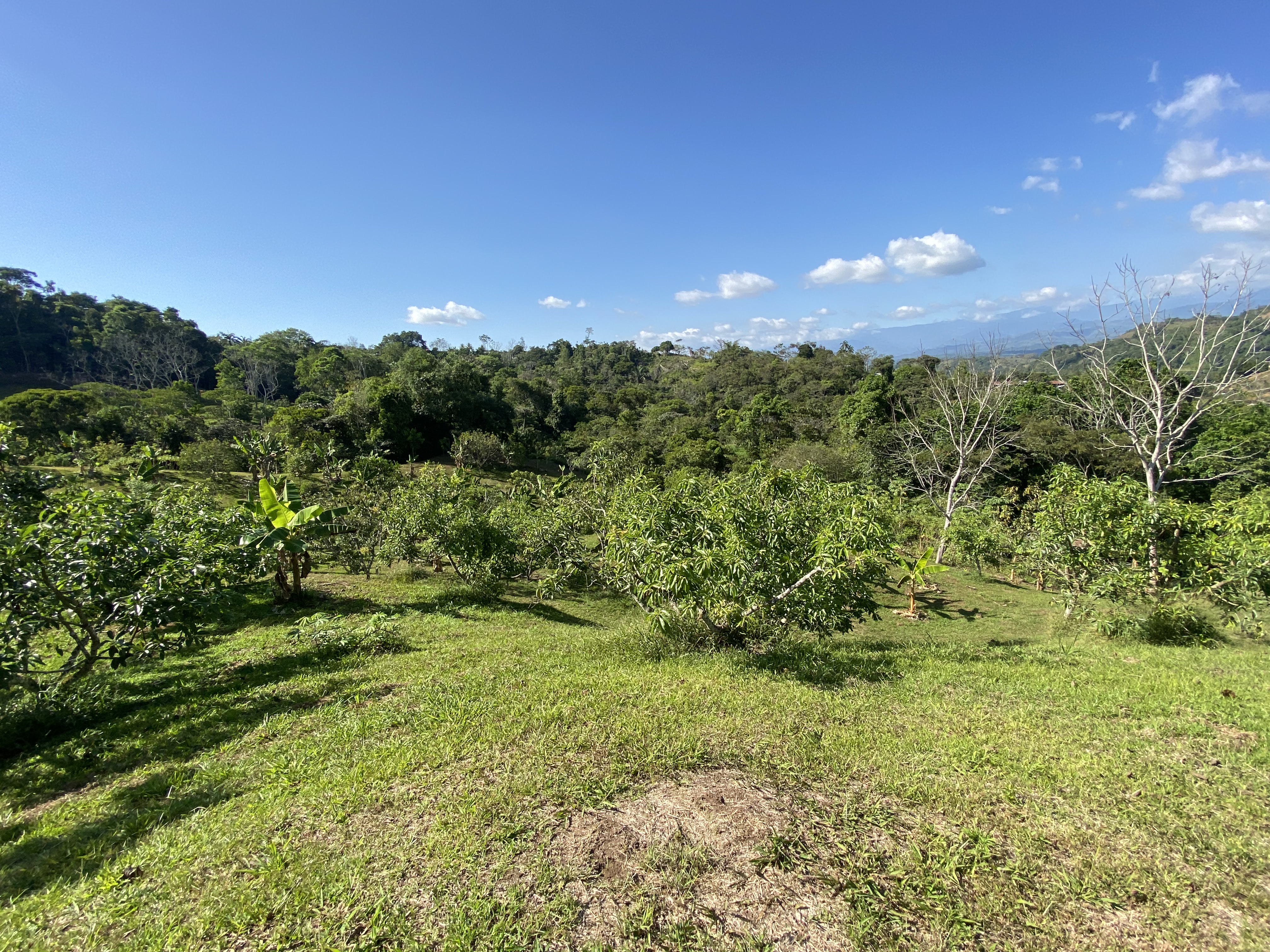 0 bed Land For Sale in Perez Zeledon, San Jose - thumb 9