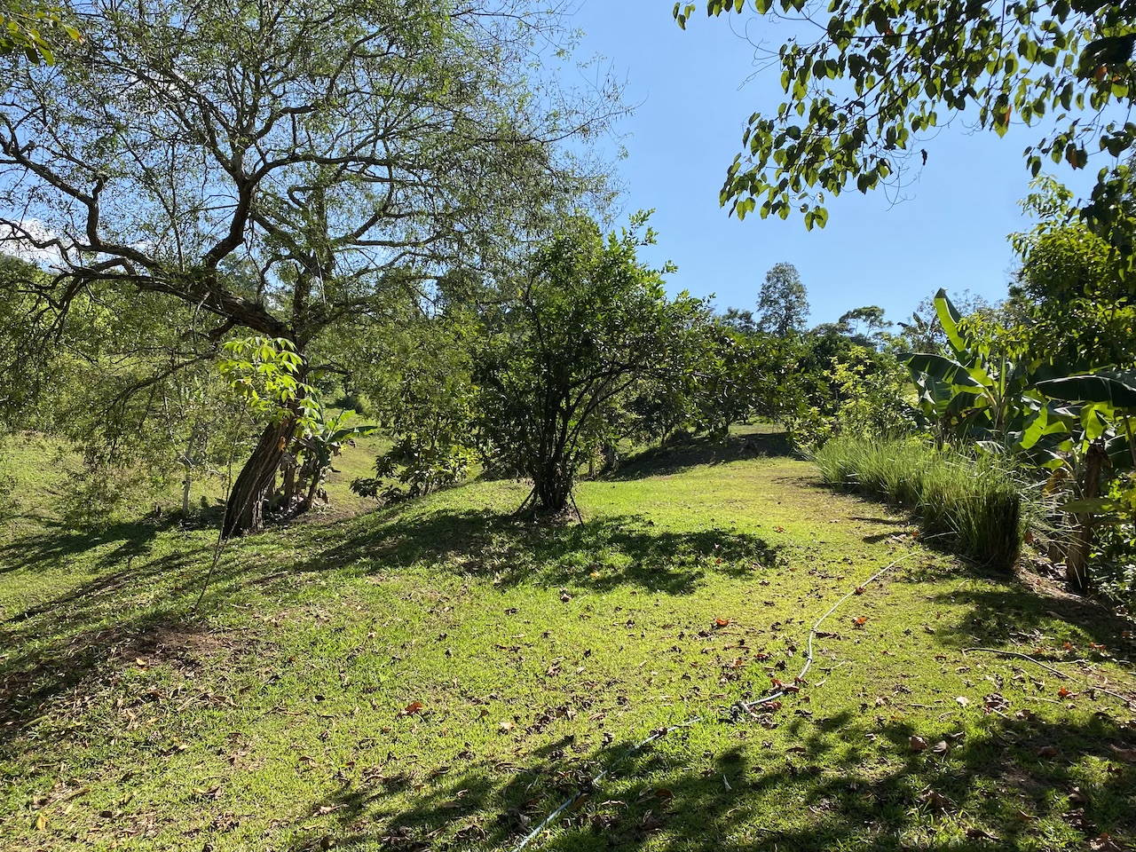 0 bed Land For Sale in Perez Zeledon, San Jose - thumb 13