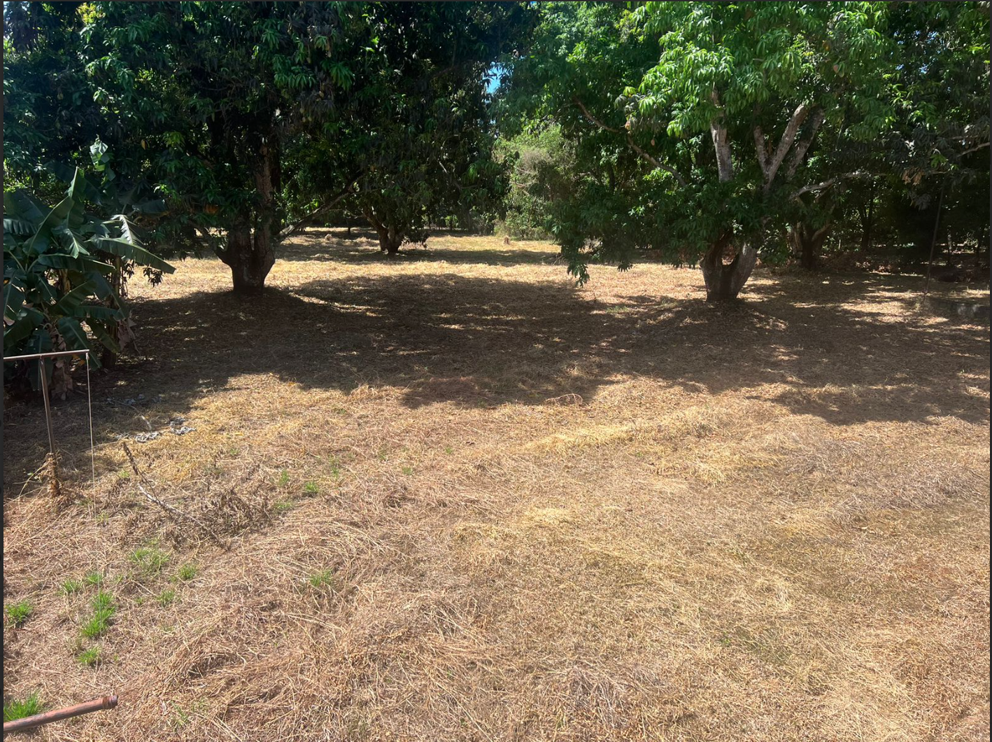 8 bed Single Family Homes For Sale in Orotina, Alajuela - thumb 9