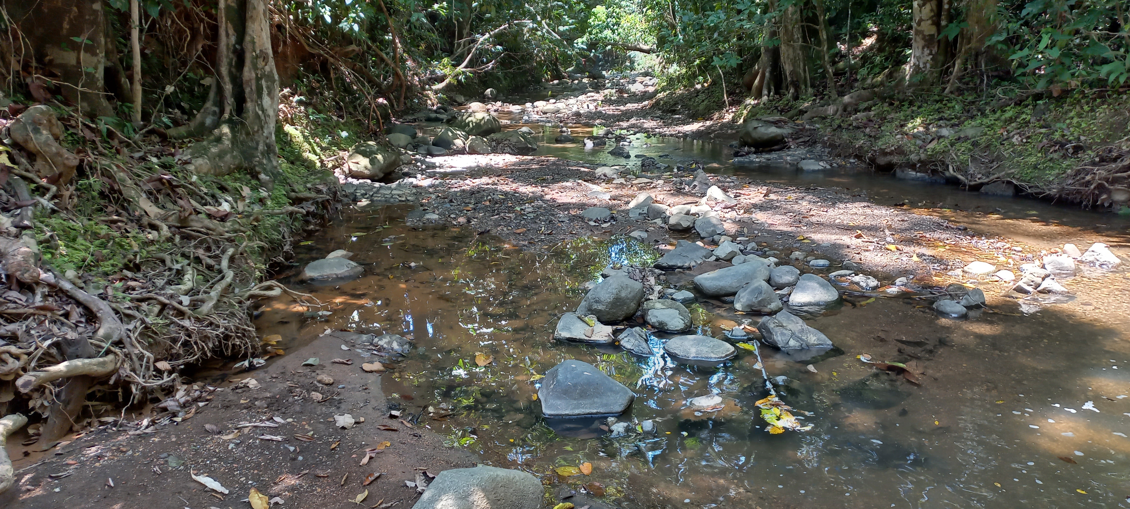 3 bed Single Family Homes For Sale in Ojochal, Puntarenas - thumb 30