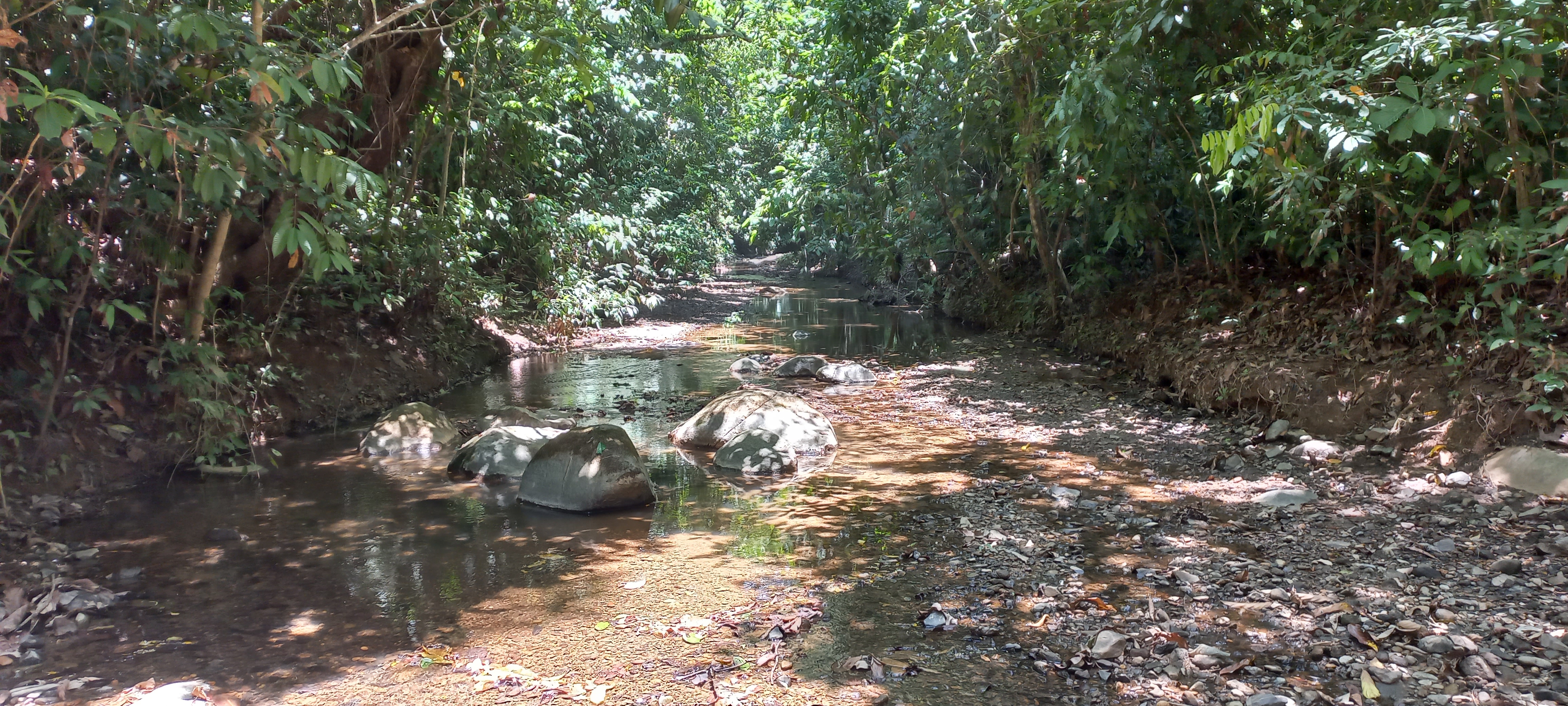 3 bed Single Family Homes For Sale in Ojochal, Puntarenas - thumb 29