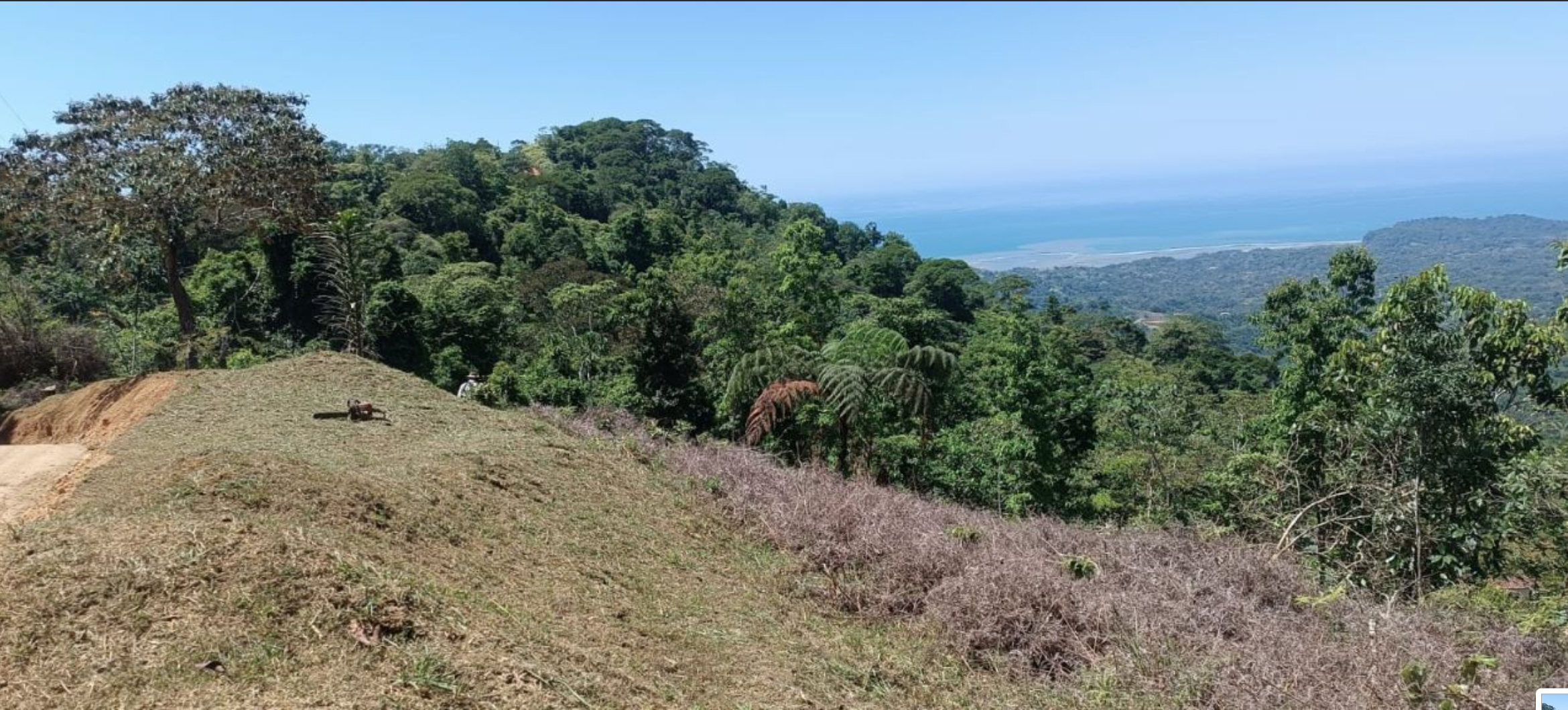 0 bed Land For Sale in Ciudad Cortes, Puntarenas - thumb 6