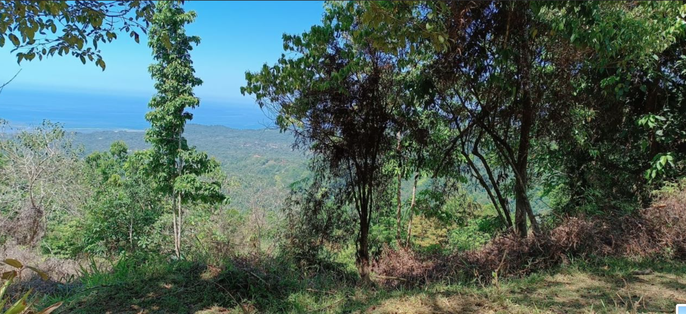 0 bed Land For Sale in Ciudad Cortes, Puntarenas - thumb 2