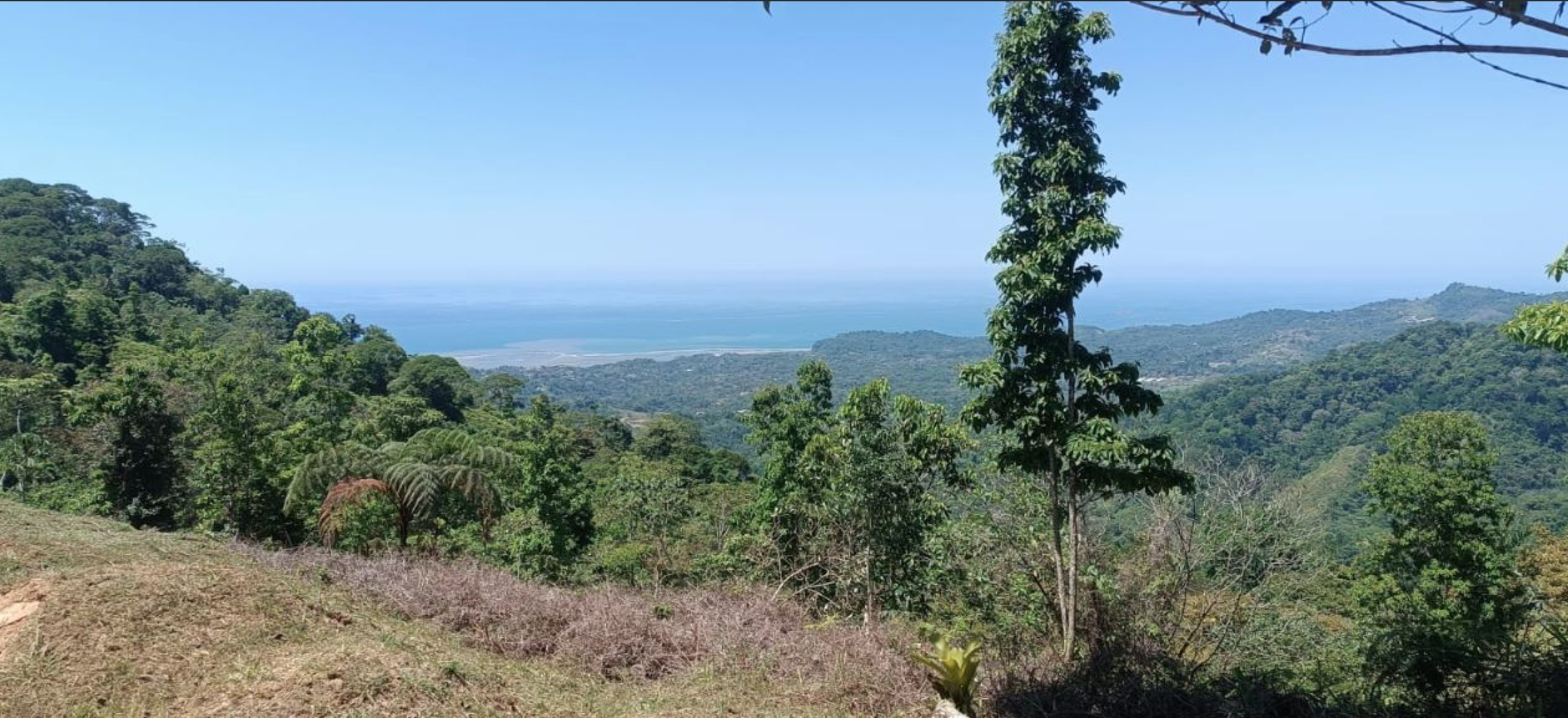 0 bed Land For Sale in Ciudad Cortes, Puntarenas - thumb 1