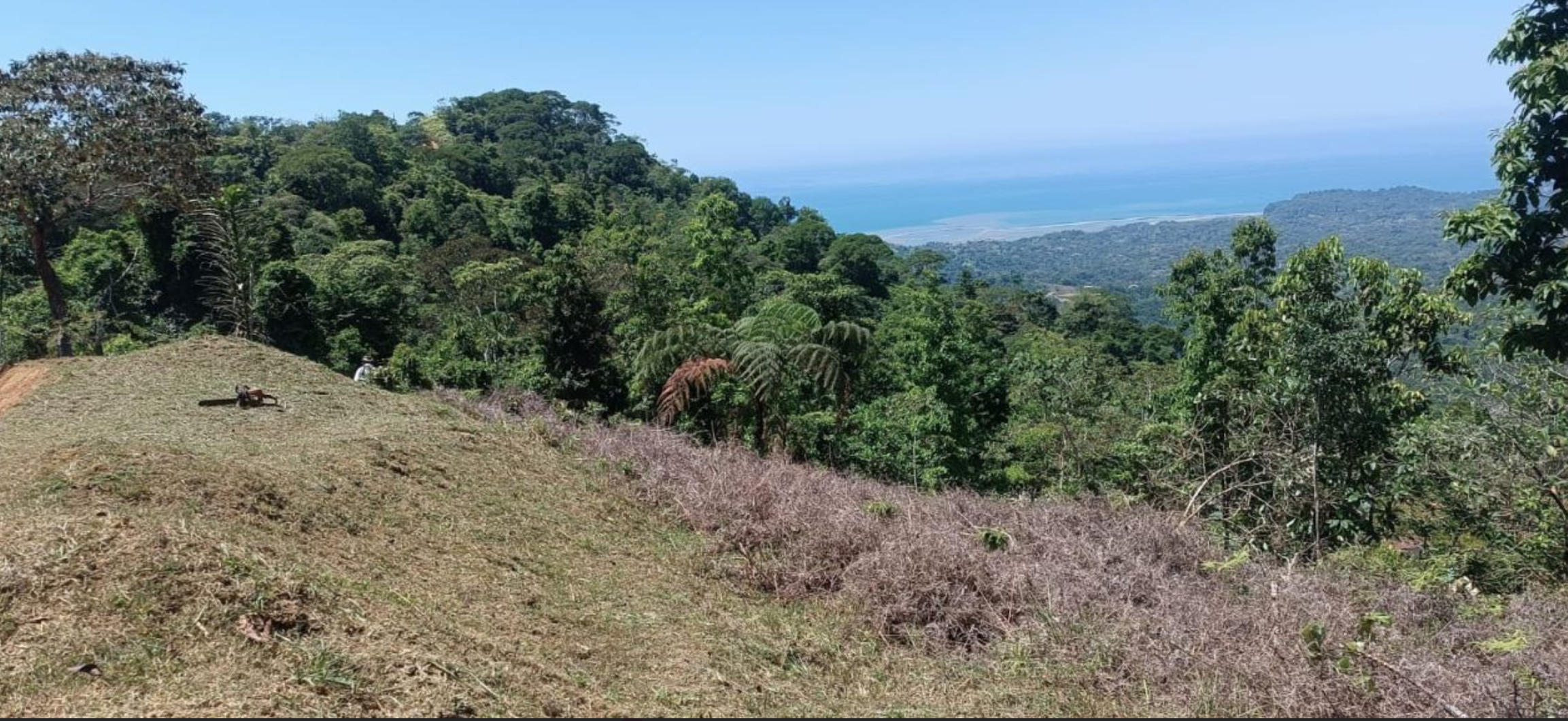 0 bed Land For Sale in Ciudad Cortes, Puntarenas - thumb 10