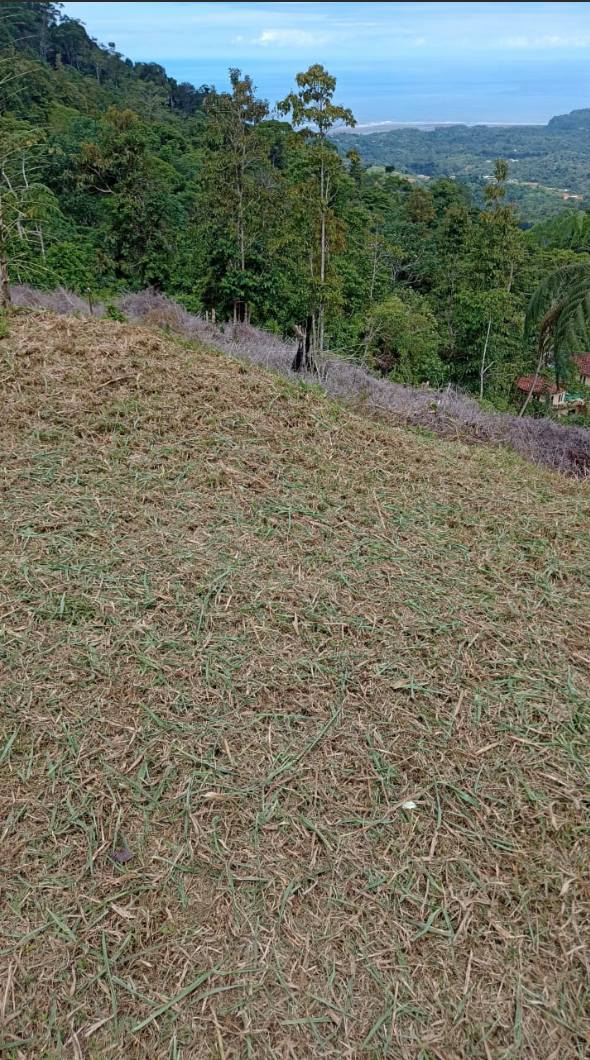 0 bed Land For Sale in Ciudad Cortes, Puntarenas - thumb 8