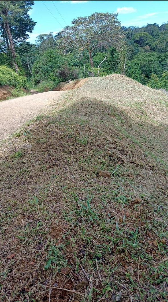 0 bed Land For Sale in Ciudad Cortes, Puntarenas - thumb 7