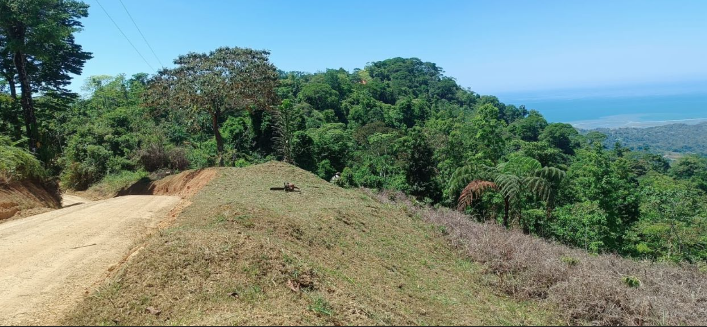 0 bed Land For Sale in Ciudad Cortes, Puntarenas - thumb 12
