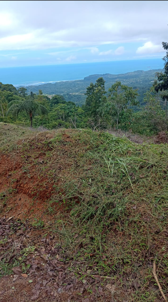 0 bed Land For Sale in Ciudad Cortes, Puntarenas - thumb 9