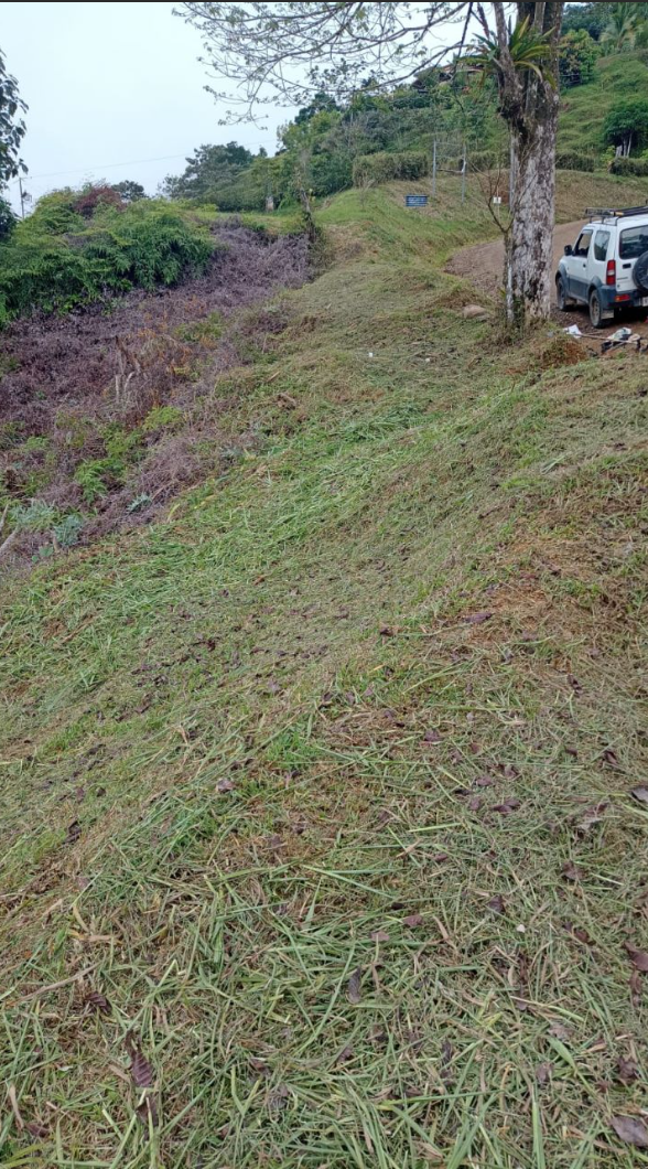 0 bed Land For Sale in Ciudad Cortes, Puntarenas - thumb 5