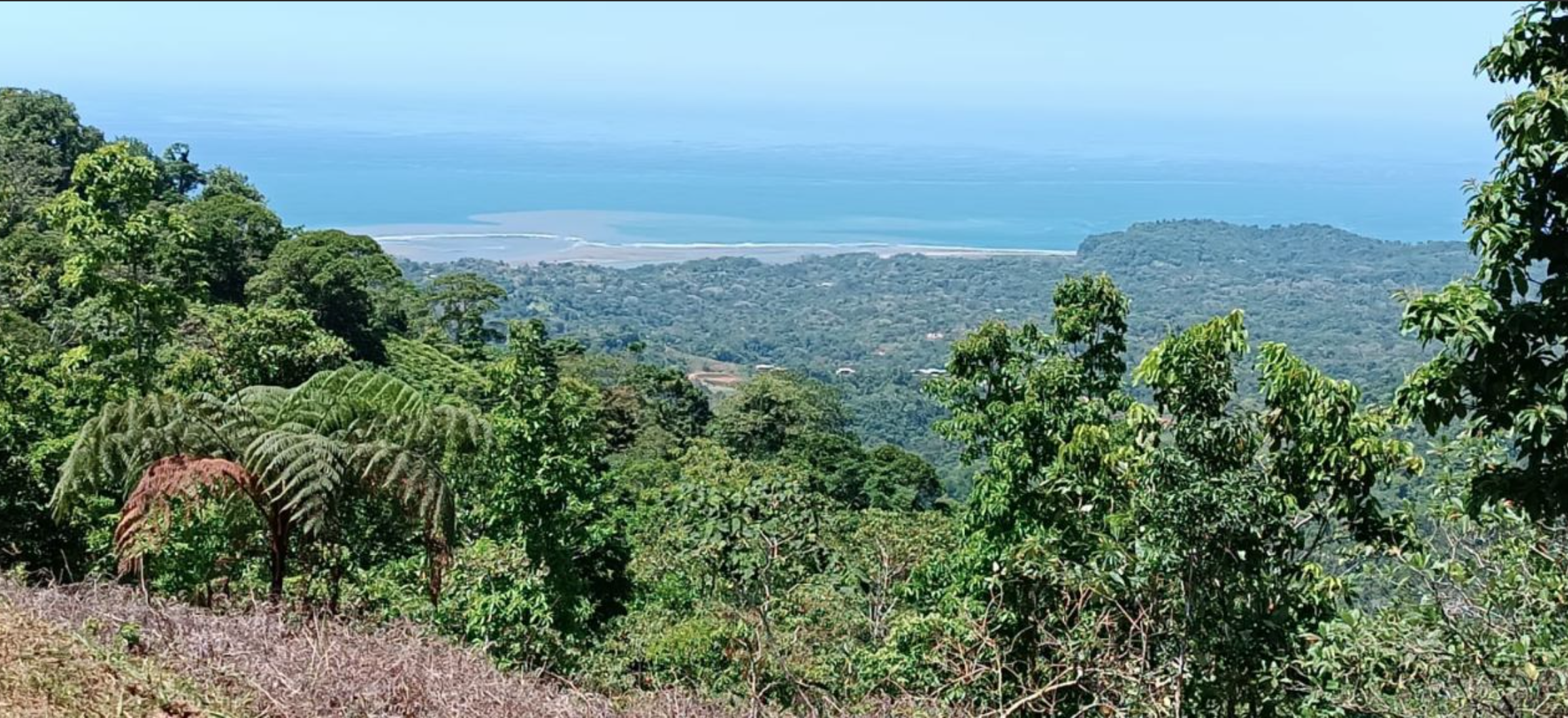 0 bed Land For Sale in Ciudad Cortes, Puntarenas - thumb 3