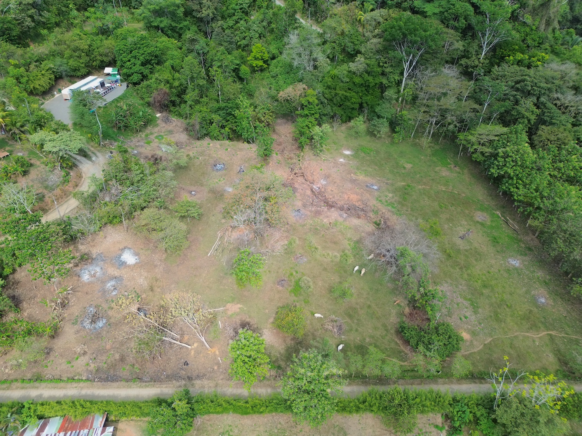 0 bed Land For Sale in Dominical, Puntarenas - thumb 5