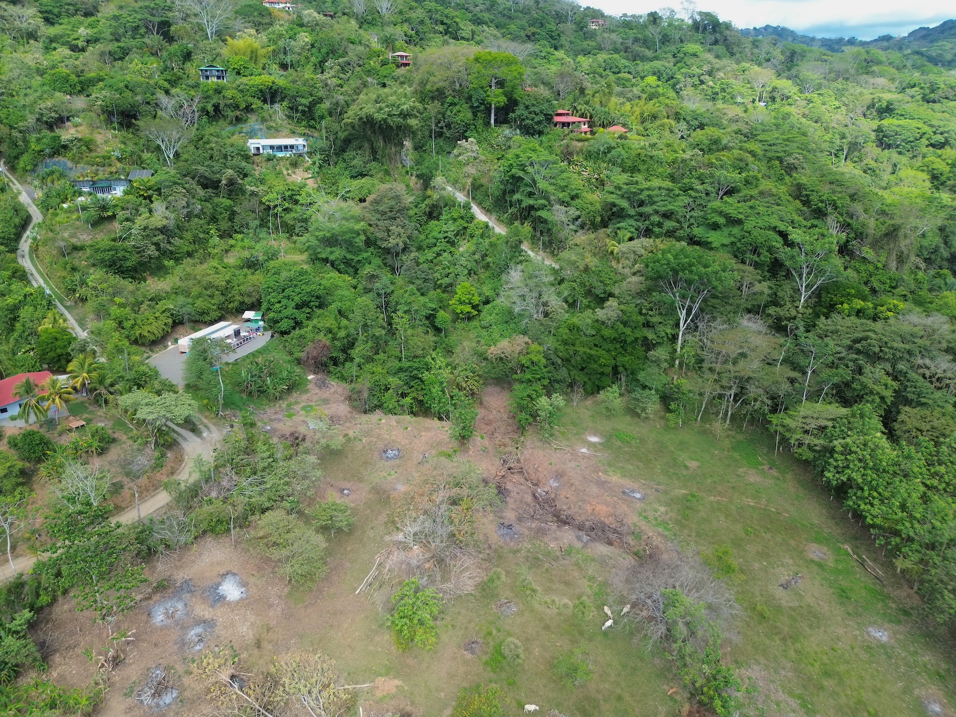 0 bed Land For Sale in Dominical, Puntarenas - thumb 9