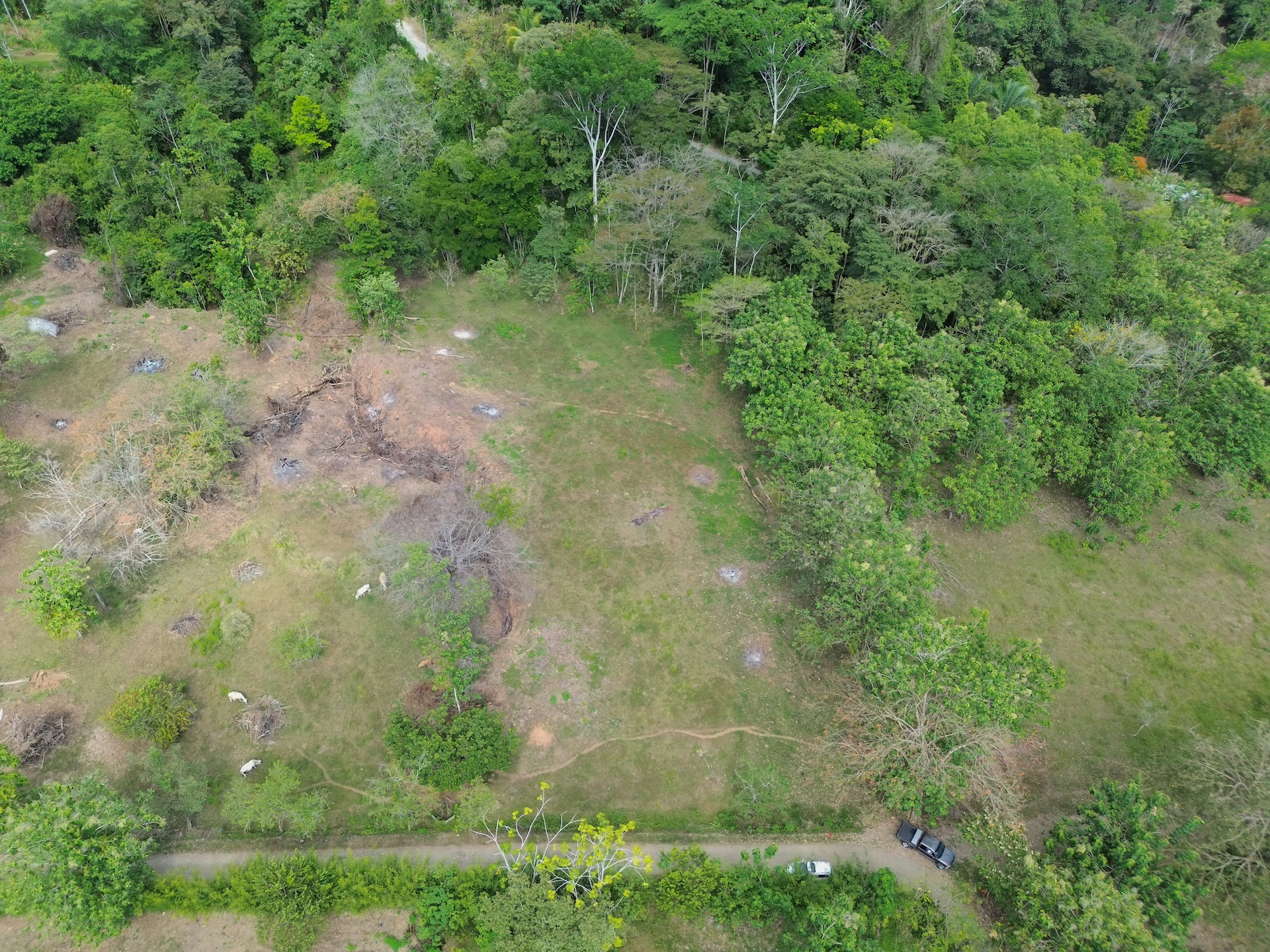 0 bed Land For Sale in Dominical, Puntarenas - thumb 10