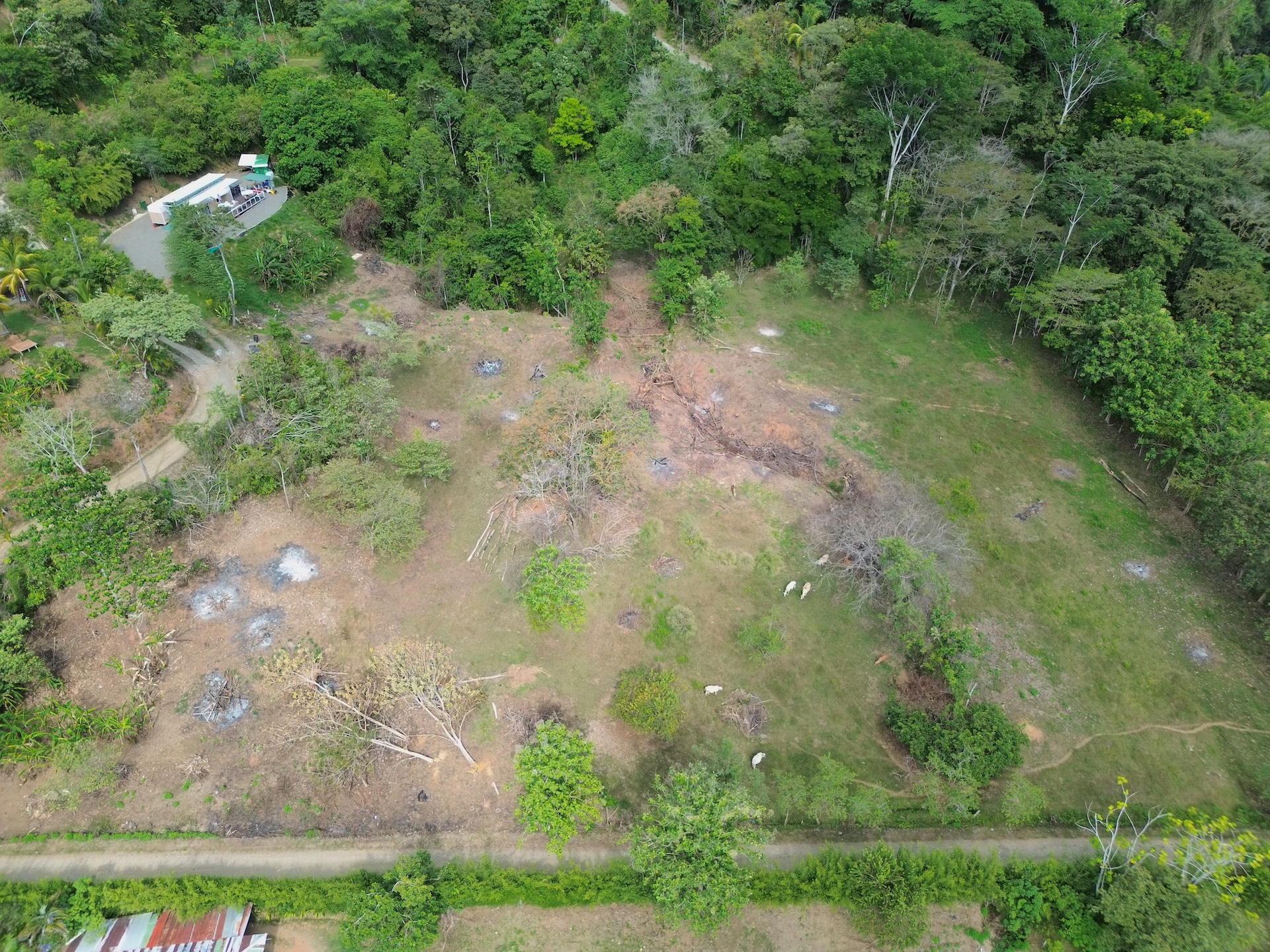 0 bed Land For Sale in Dominical, Puntarenas - thumb 2