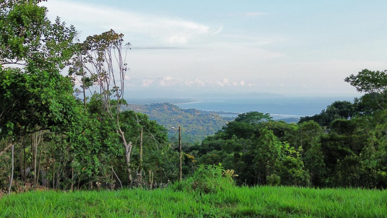 0 bed Land For Sale in Ojochal, Puntarenas - thumb 1