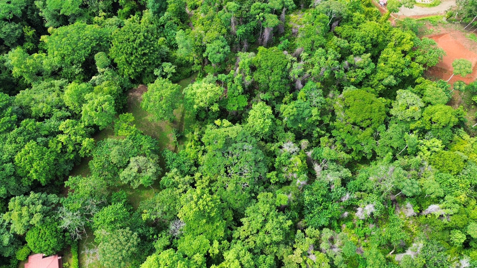 0 bed Land For Sale in Ojochal, Puntarenas - thumb 13