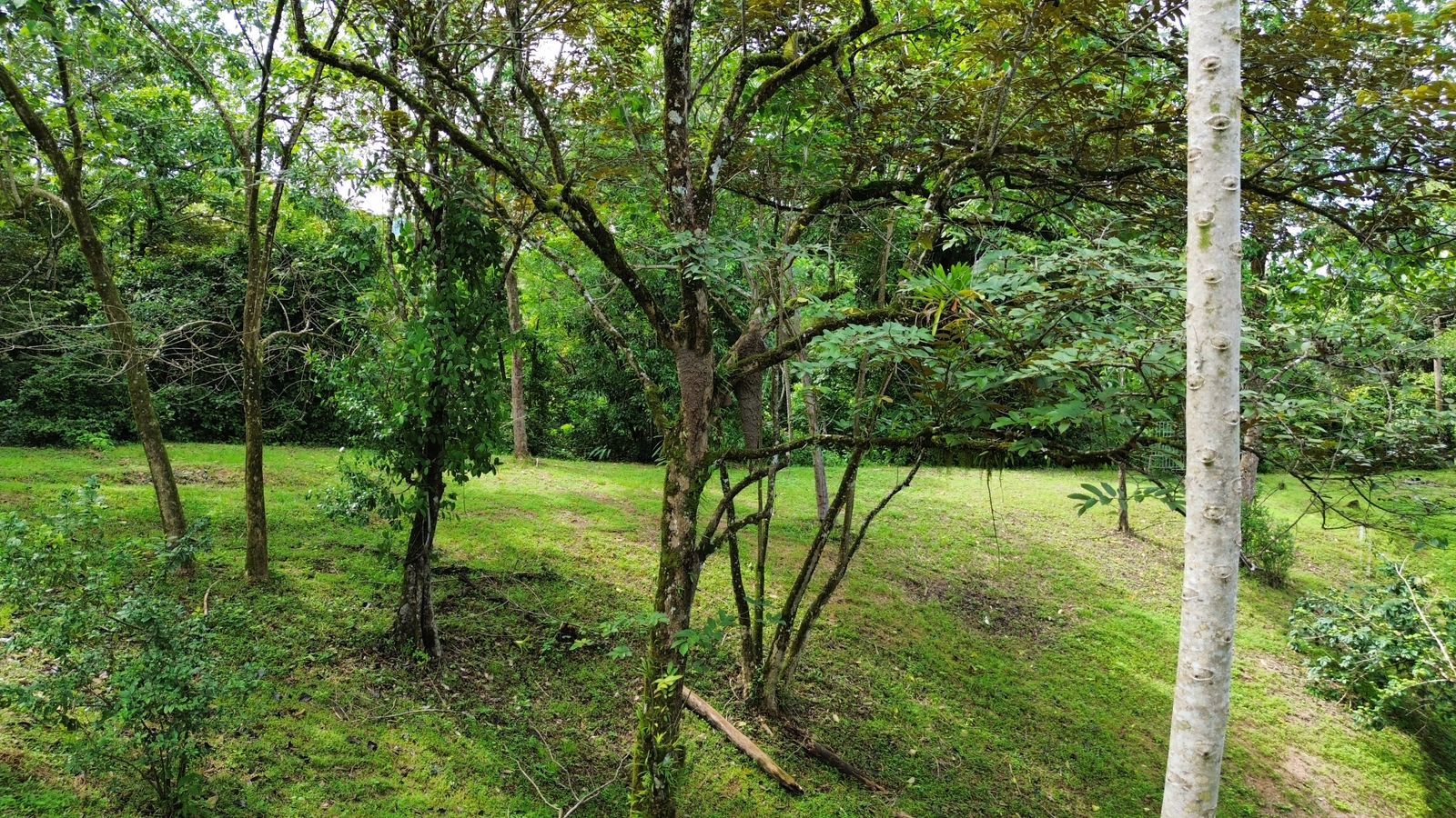 0 bed Land For Sale in Ojochal, Puntarenas - thumb 11