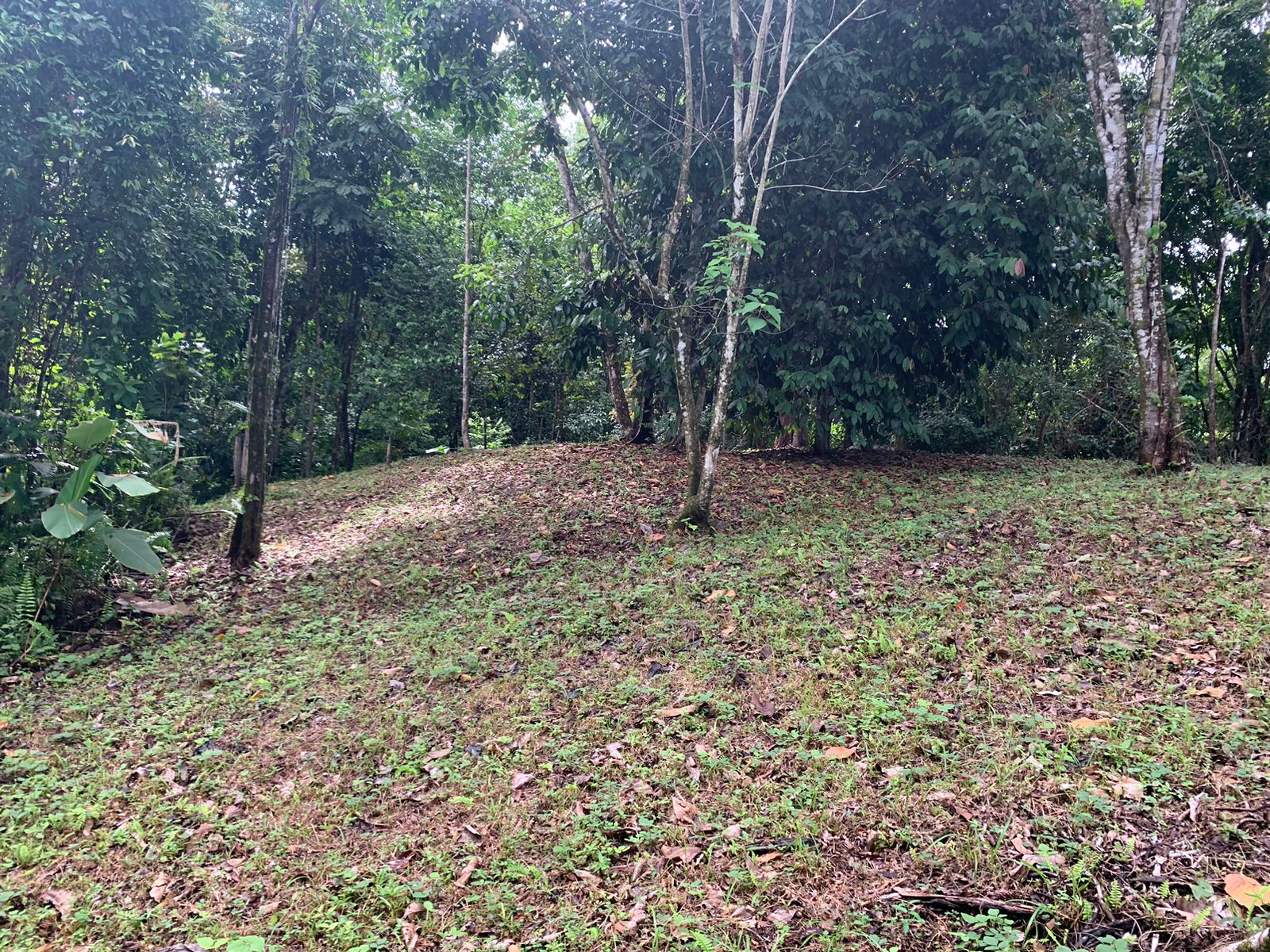 0 bed Land For Sale in Ojochal, Puntarenas - thumb 17